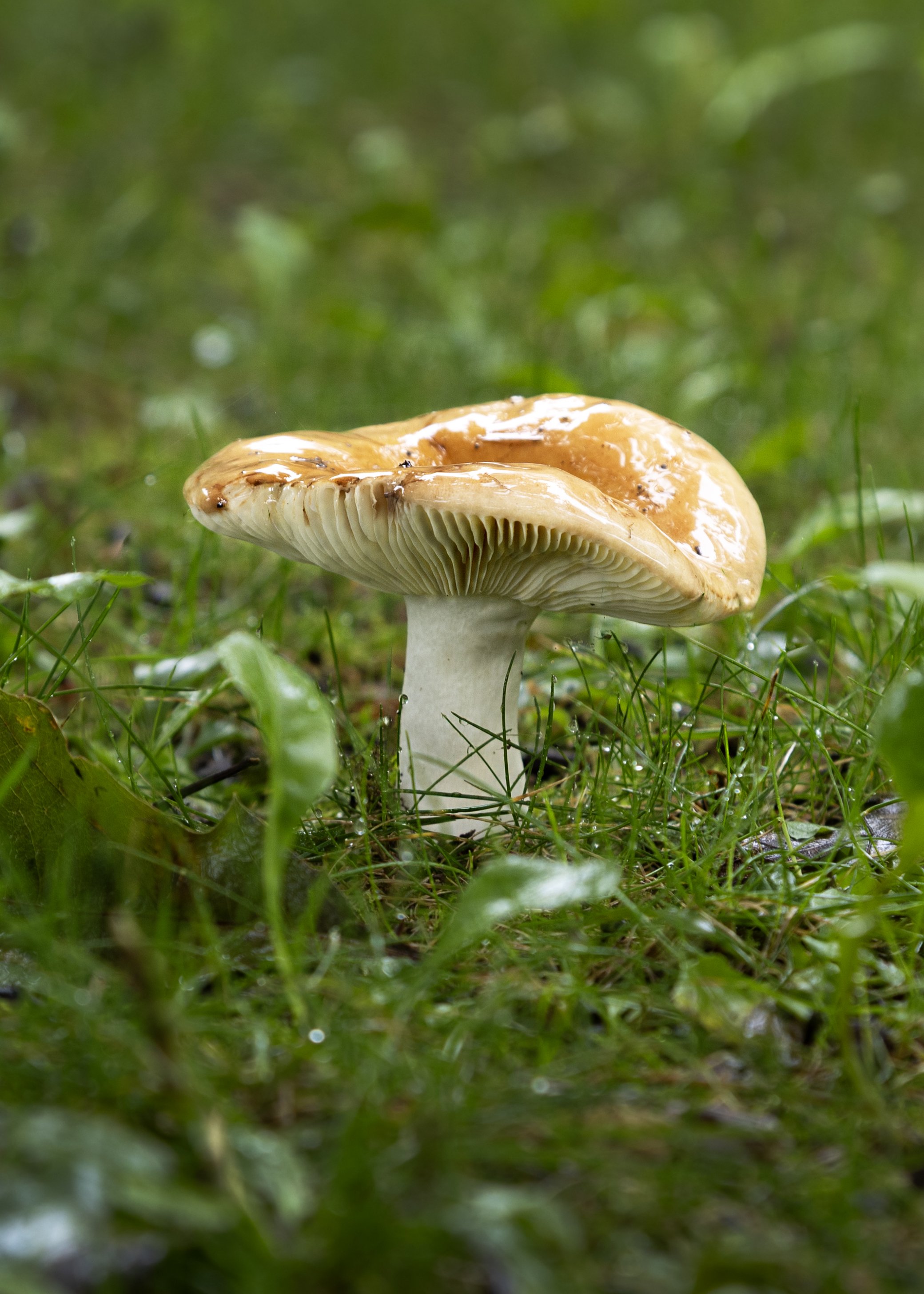 5812 version 1 copy.jpg