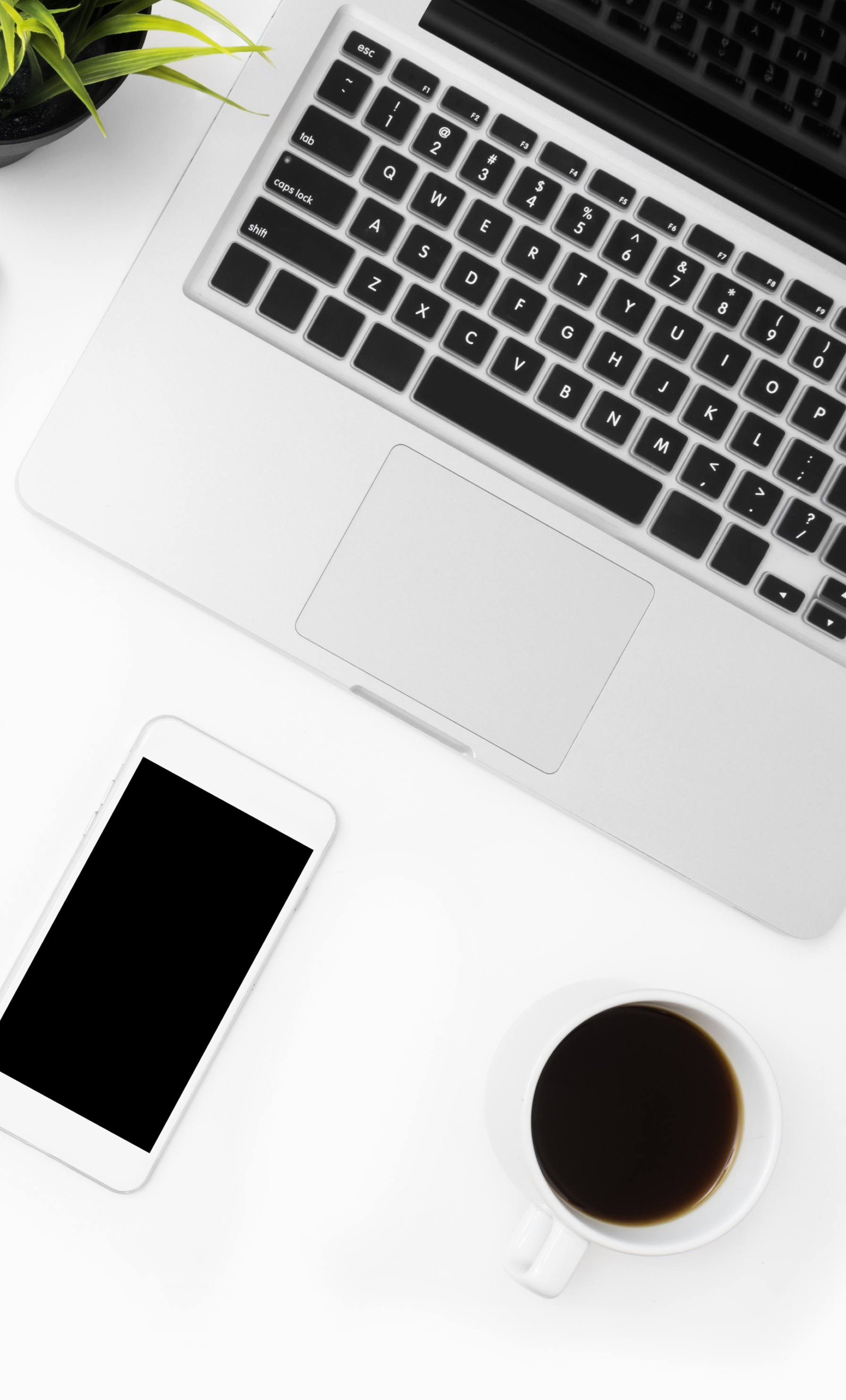 A workspace with a silver laptop, a white smartphone, a cup of black coffee, and a green potted plant on a white surface.