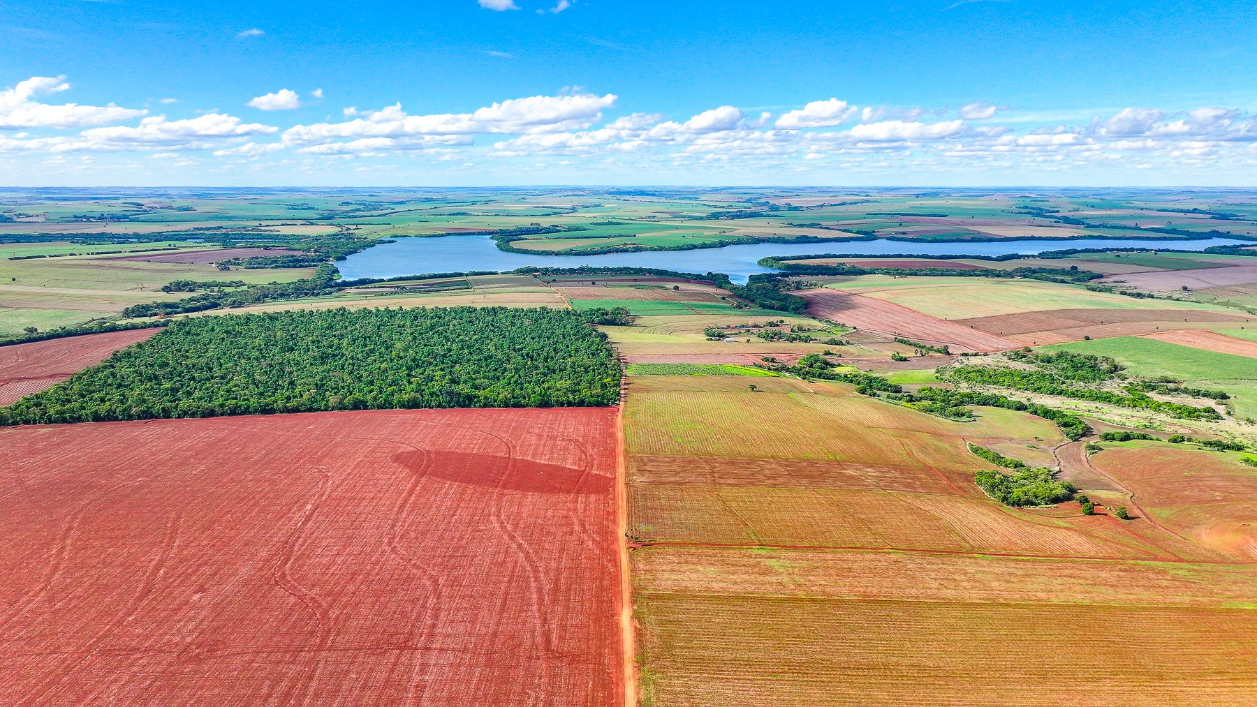 DJI_20251108230300_0050_D.jpg