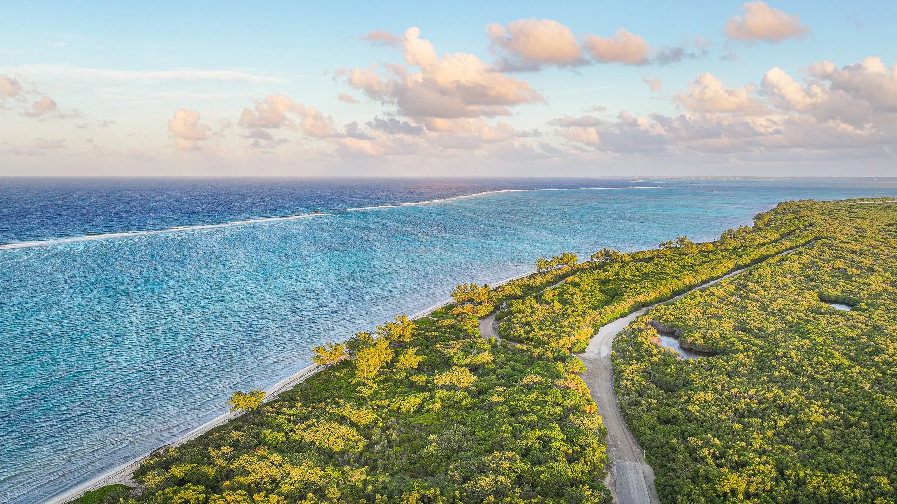 DJI_20251105022241_0173_D.jpg