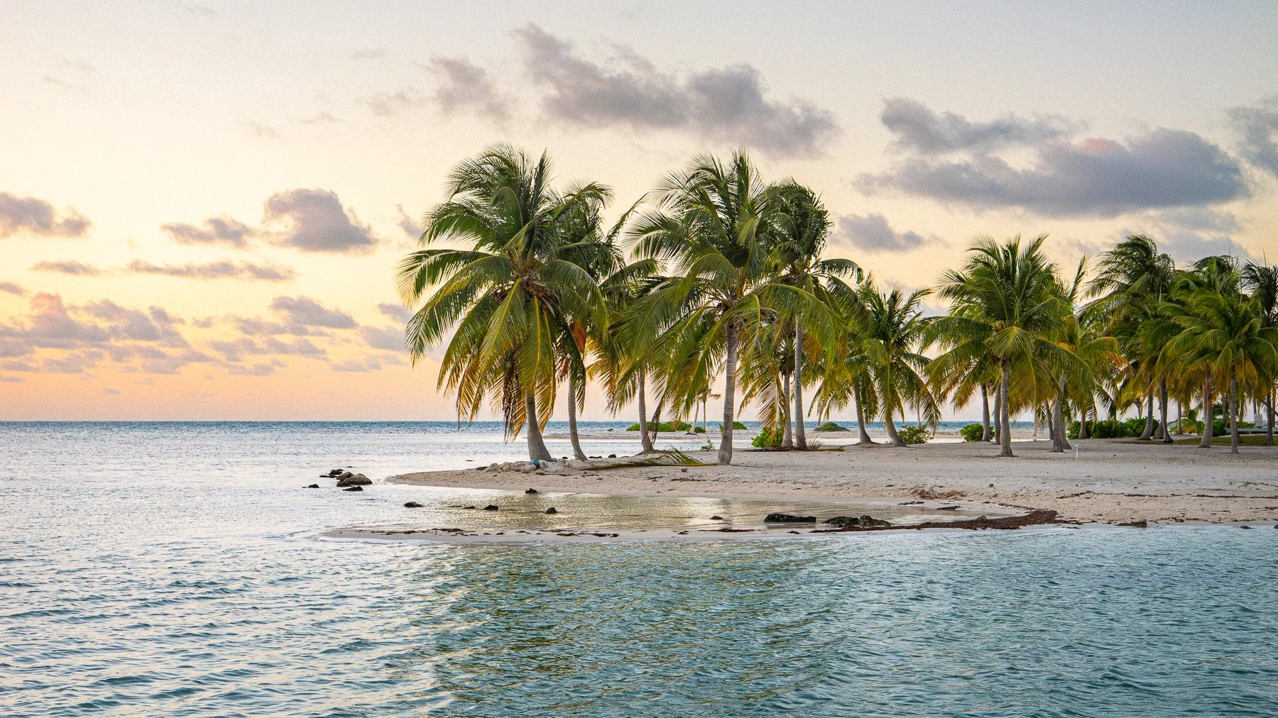 P1395395.jpg