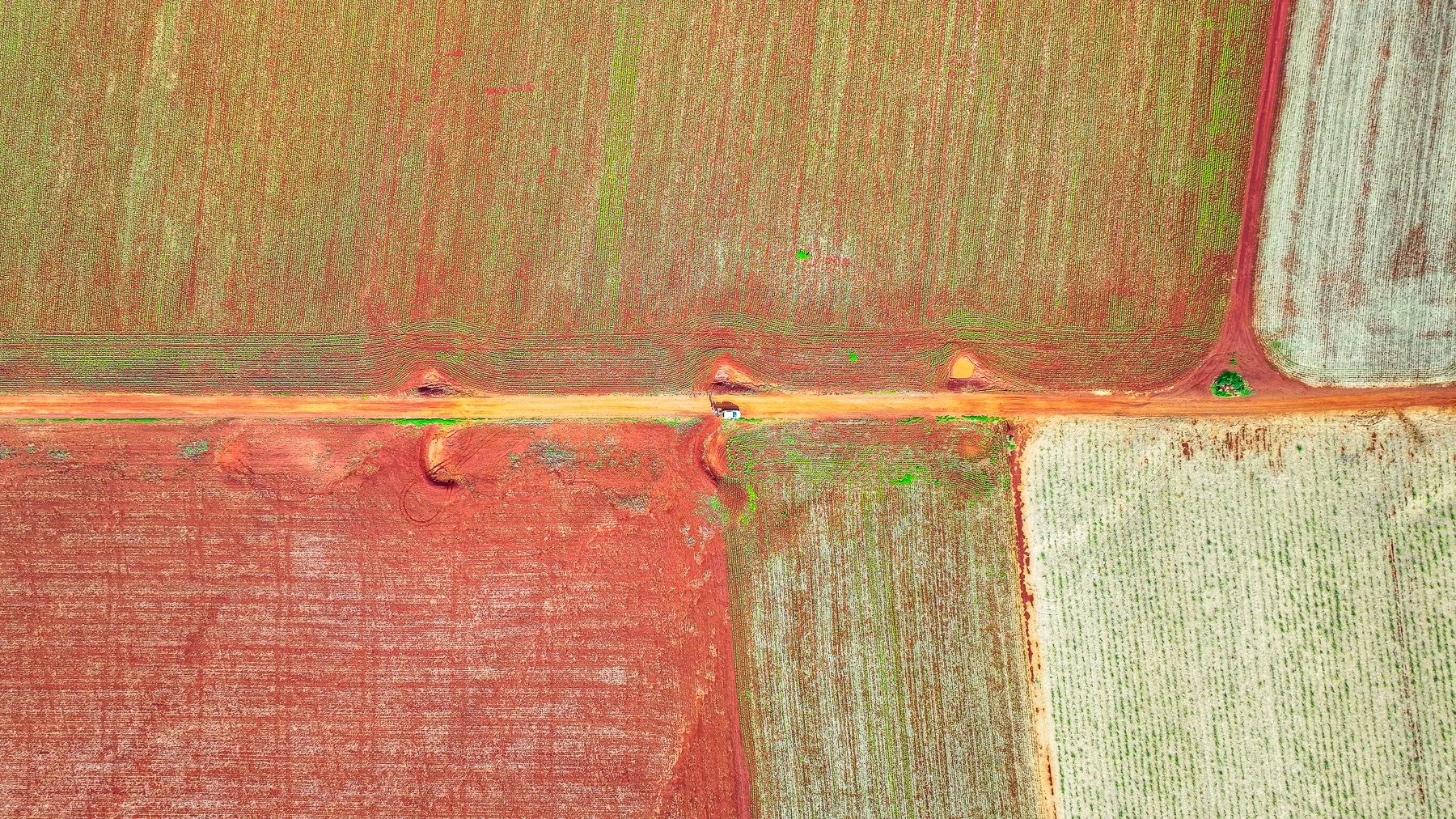 DJI_20251108230243_0048_D.jpg