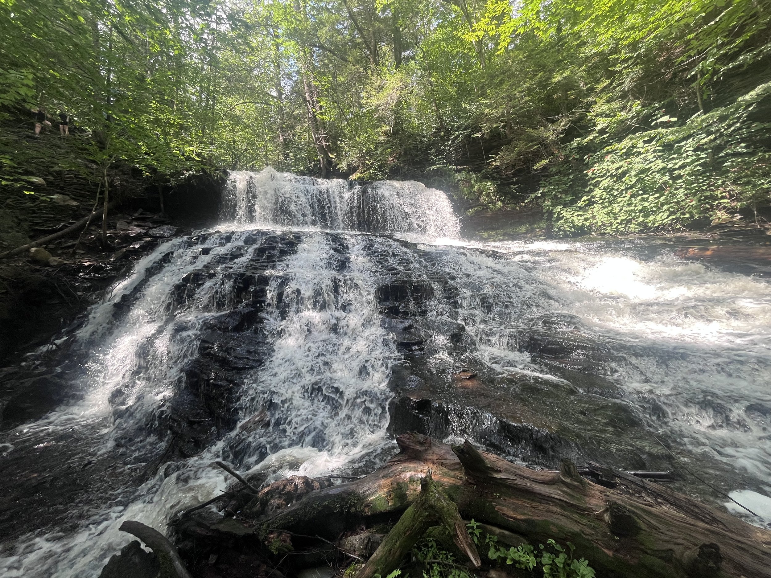 Ricketts Glen Hike