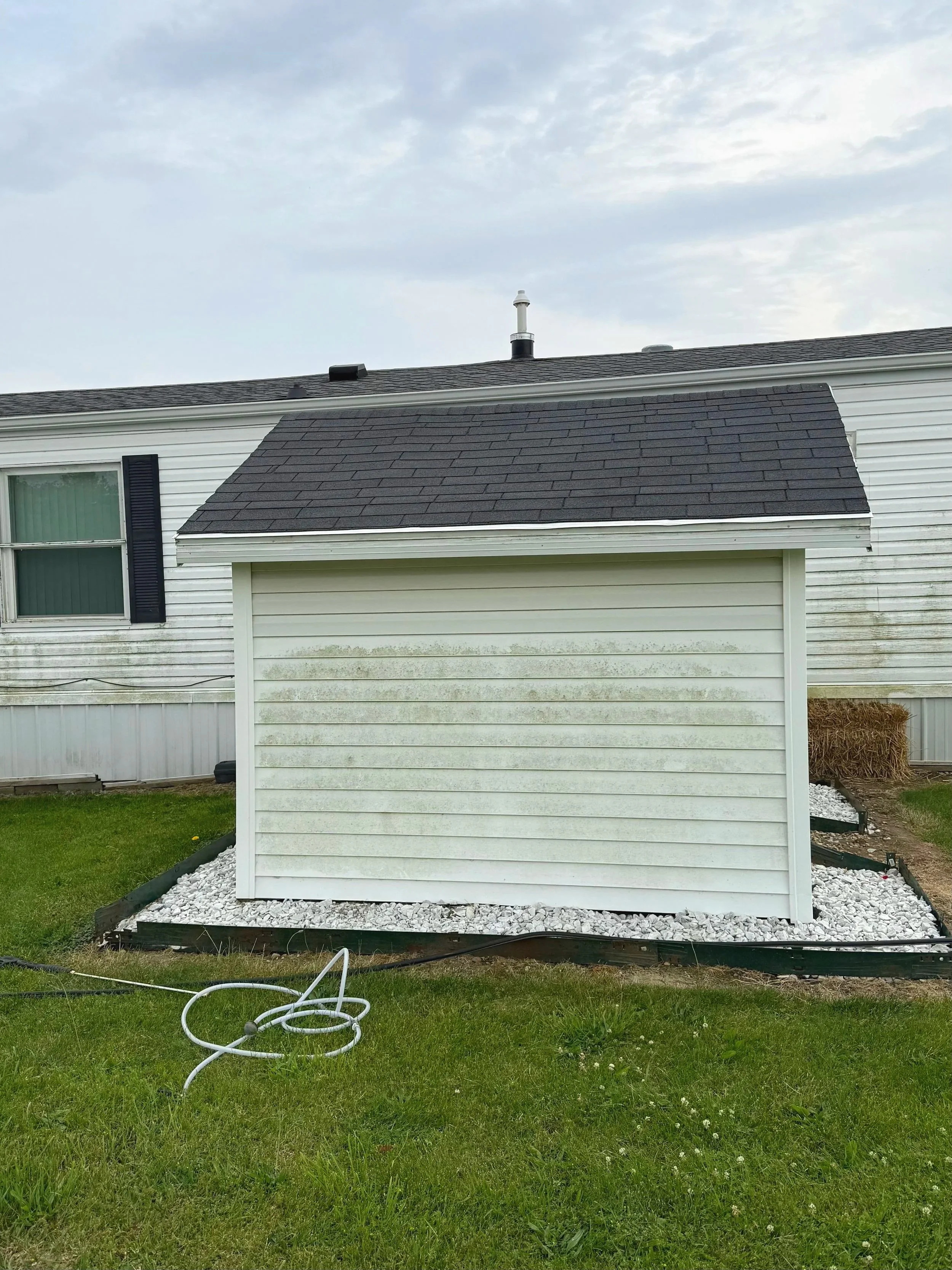 Green algae buildup on home siding before professional power washing