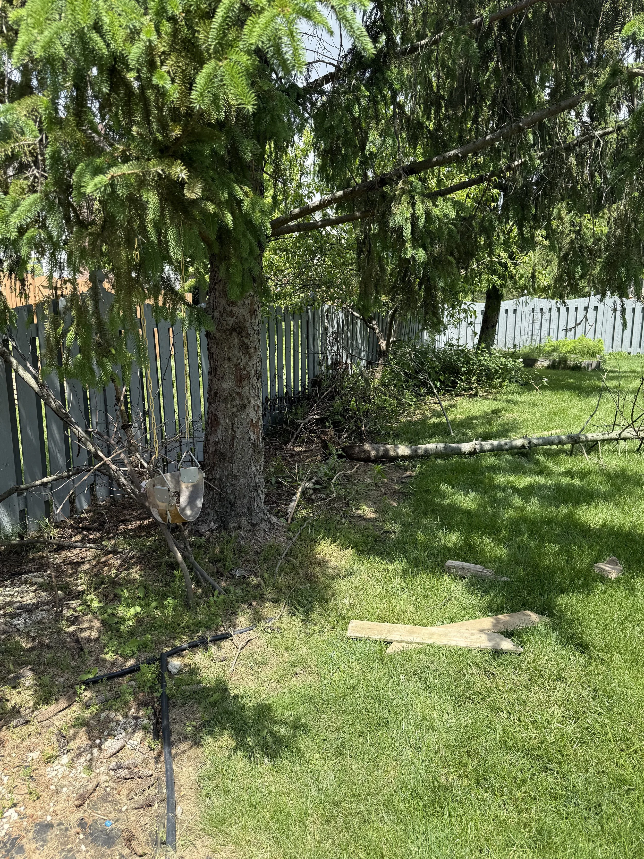 Overgrown backyard with fallen tree branch, weeds, and trash before landscaping cleanup
