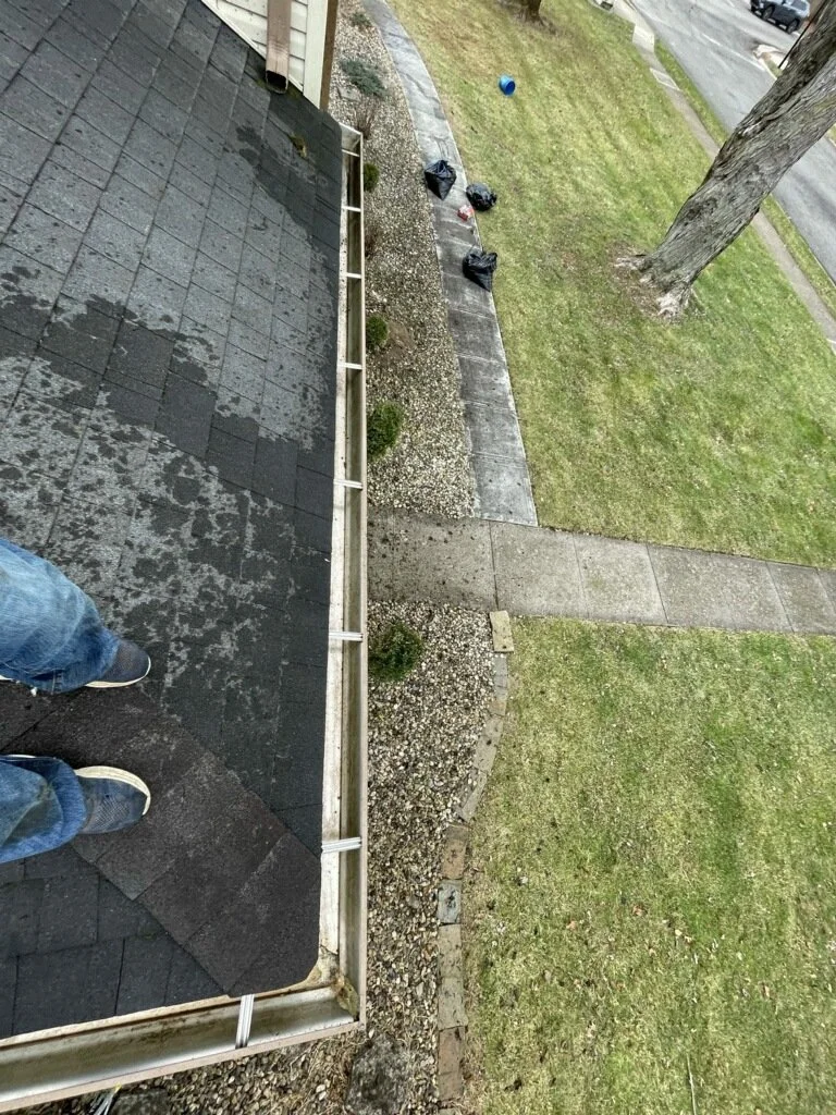 Residential gutter cleaning completed showing clean gutters and tidy yard from rooftop view
