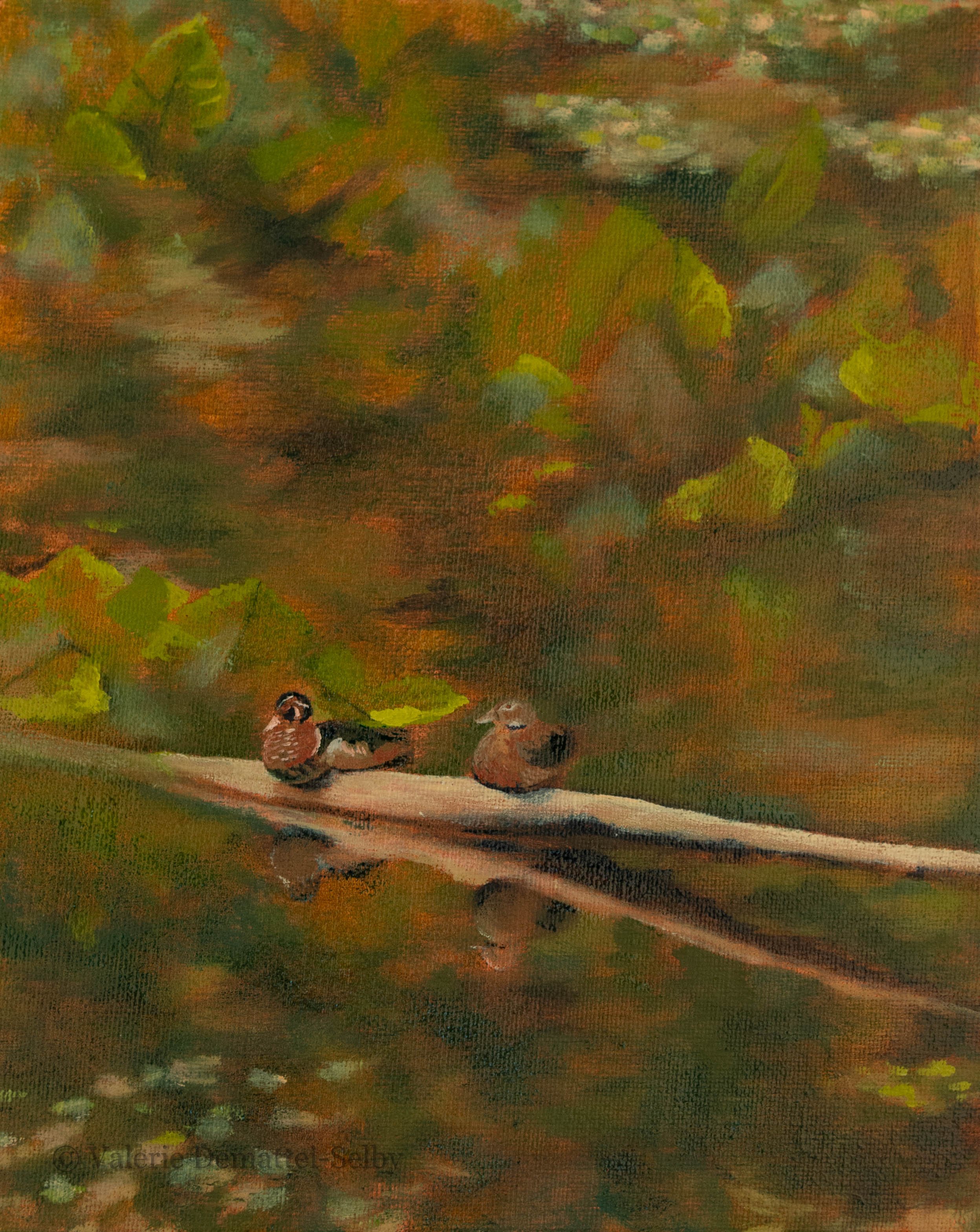 WoodDucks2.jpg
