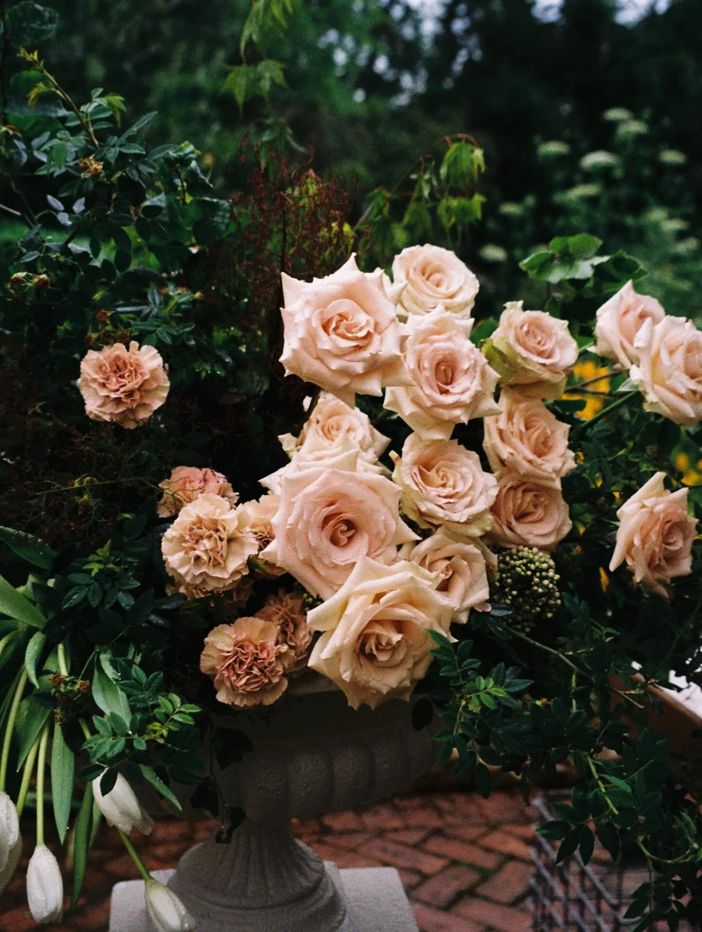 Ceremony details for S &amp; E 🤍