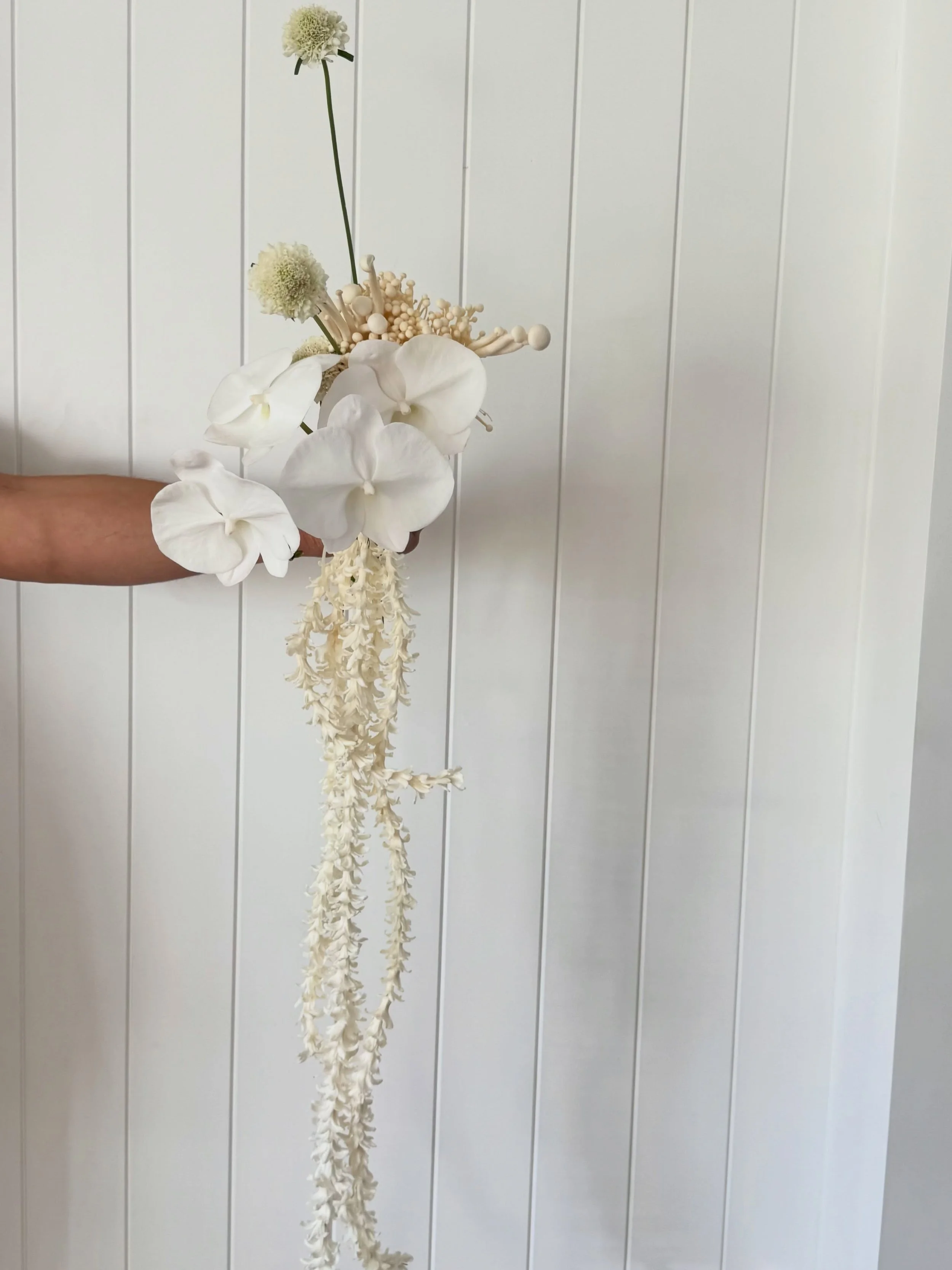 A micro mushroom bouquet 🍄&zwj;🟫🍄&zwj;🟫🍄&zwj;🟫