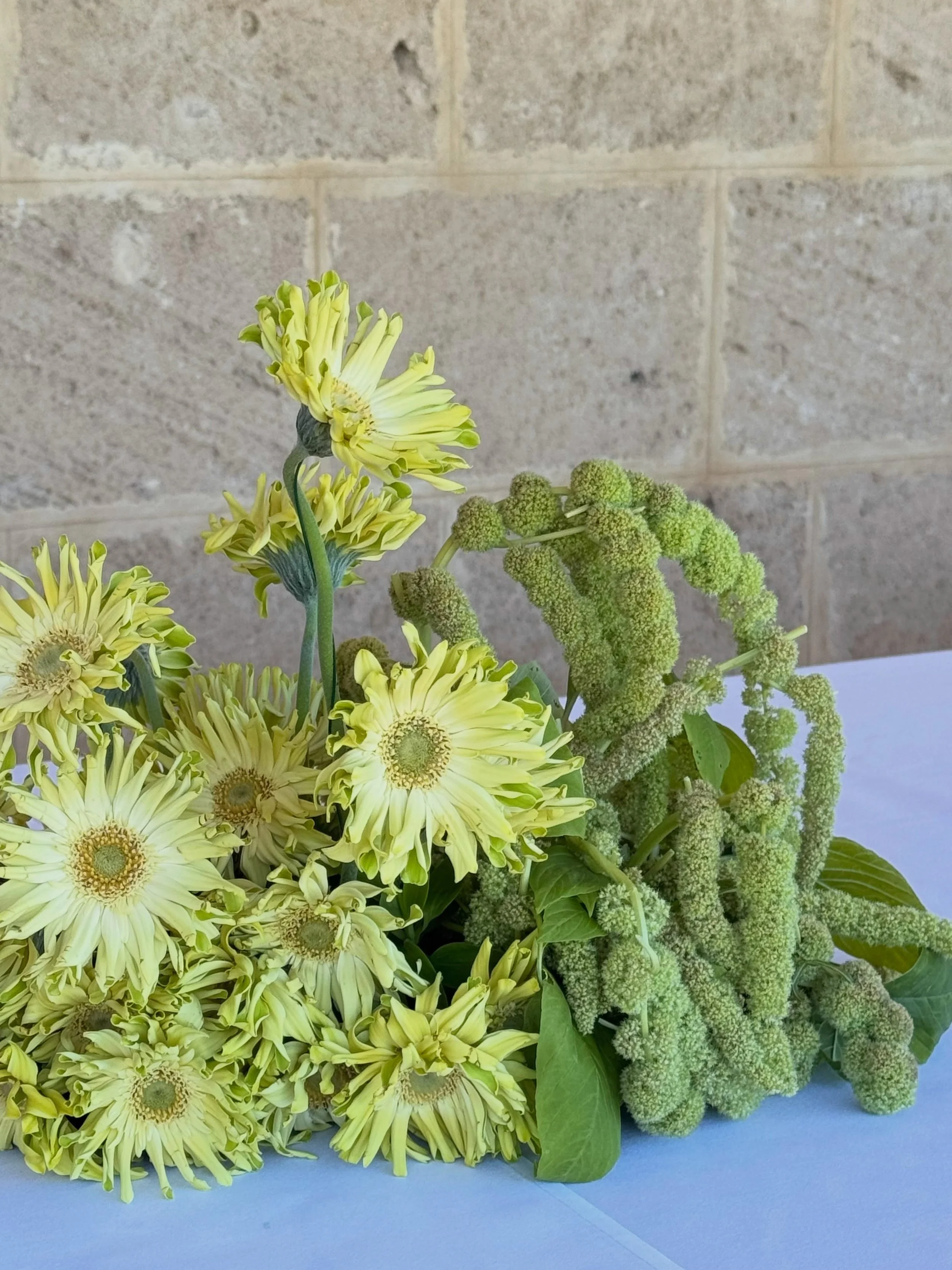 Texture on texture for Ellen&rsquo;s bridal shower 💚🌿