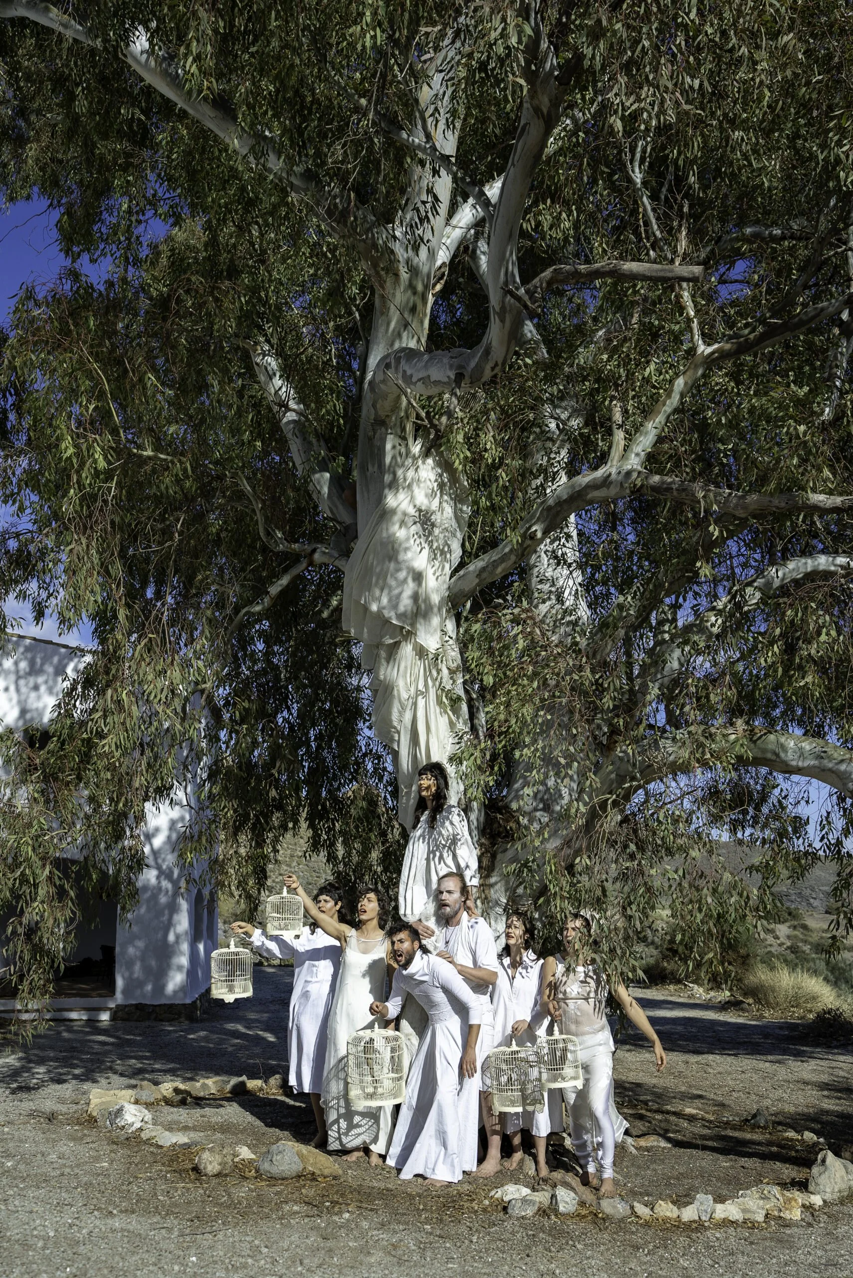 A group of people dressed in white, holding birdcages, standing under a large eucalyptus tree in a desert-like landscape with a white building in the background.