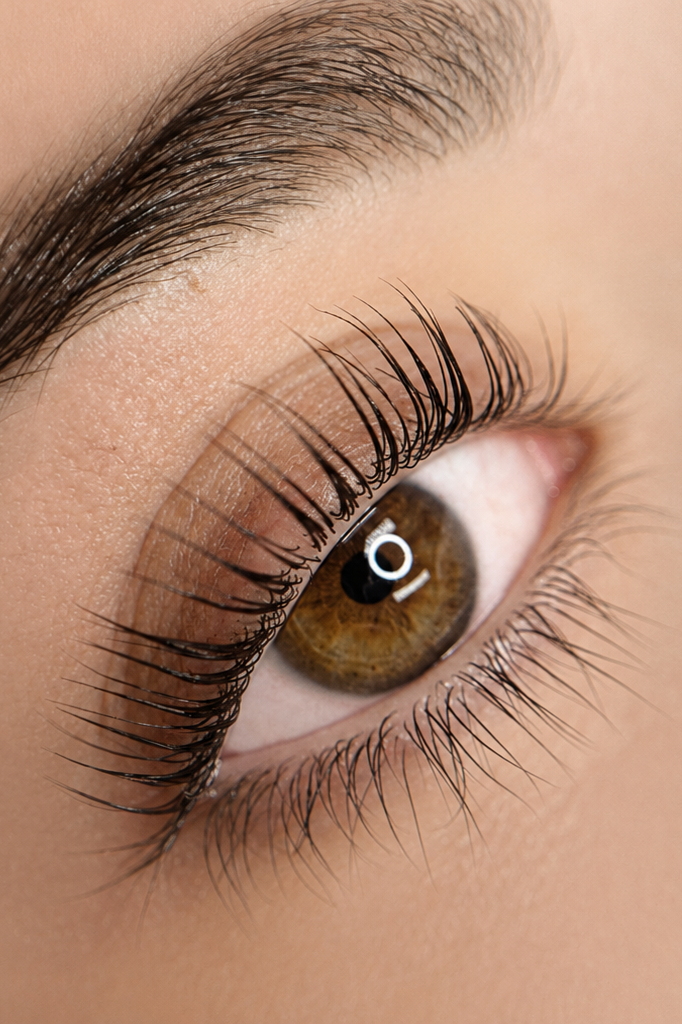 Close-up of a human eye with brown iris, long eyelashes, and well-groomed eyebrow.