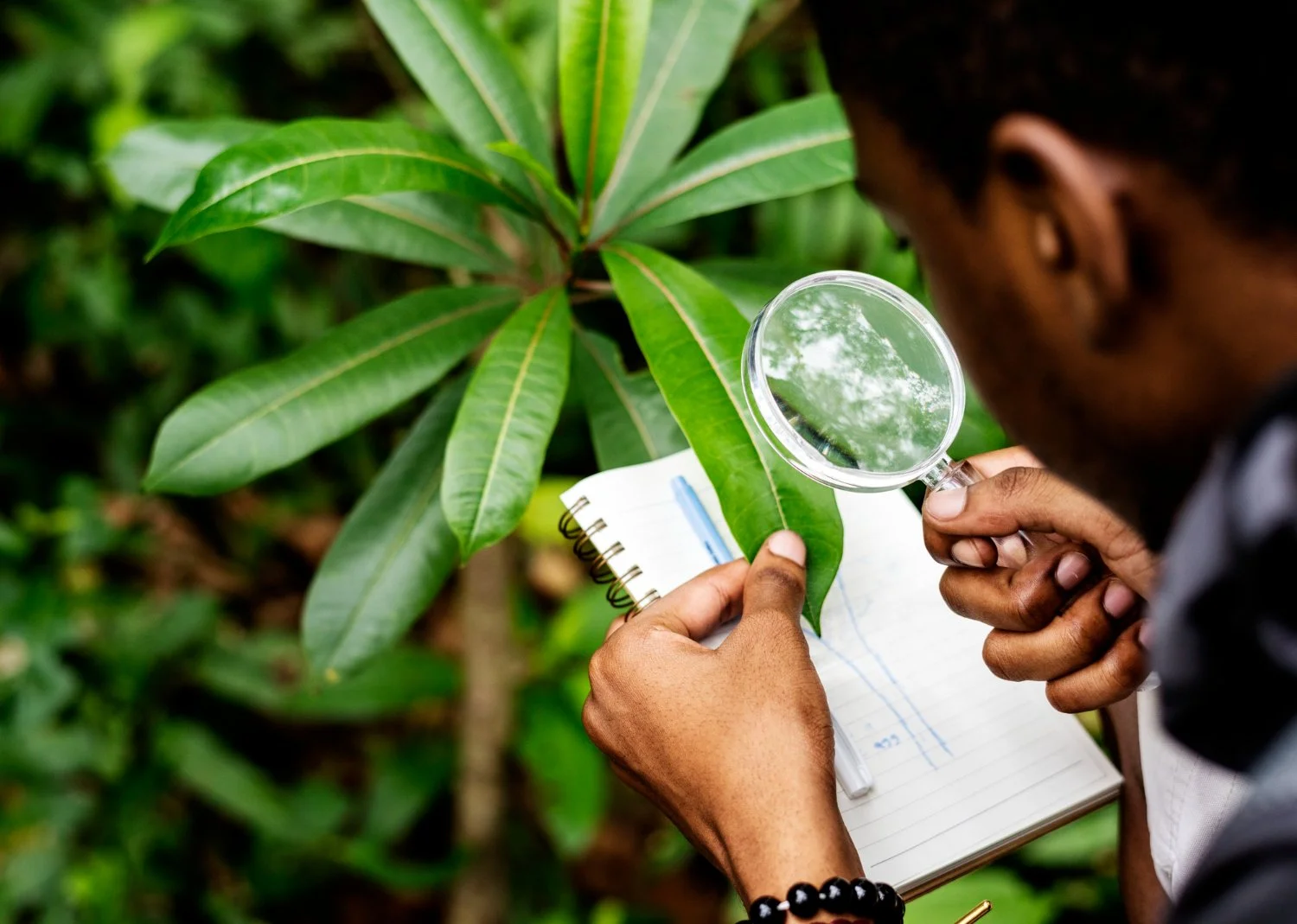 A person examining a green plant leaf with a magnifying glass, taking notes with a pen in a notebook.