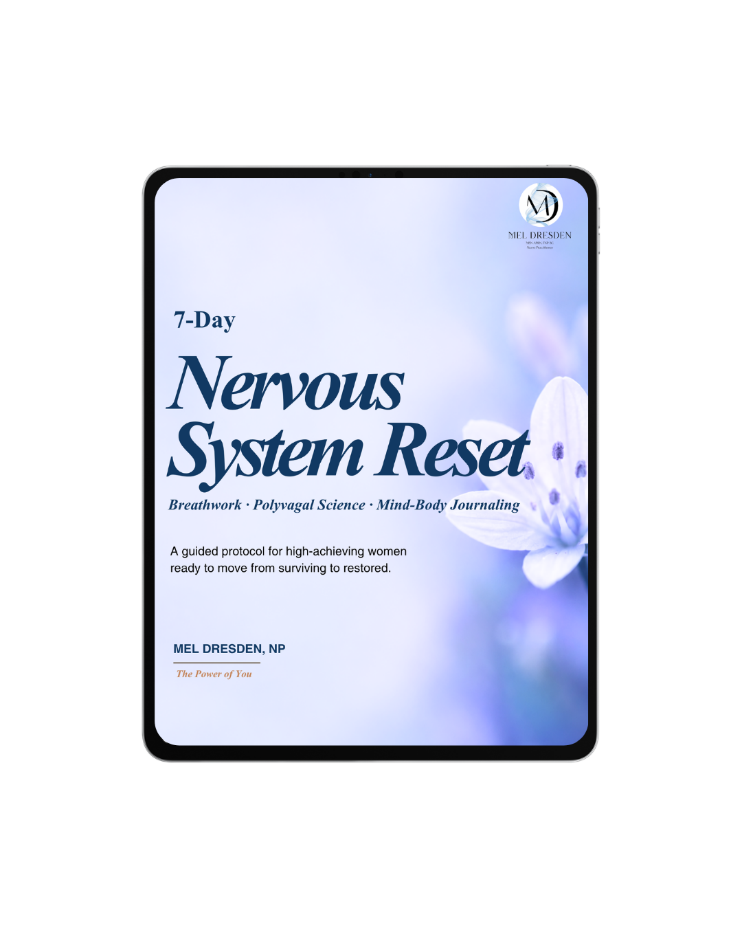 7 Day Nervous System.png