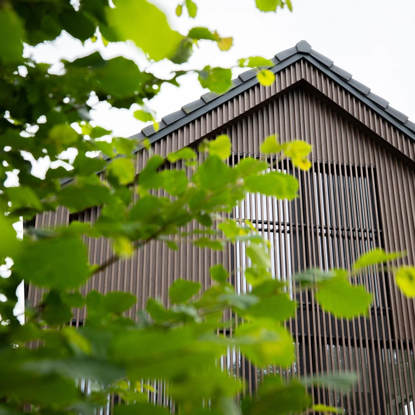 Goed nieuws! Onze splinternieuwe vakantiewoning in het hart van de Ardennen is bijna klaar. De laatste hand wordt gelegd aan de afwerking, en vanaf juli verwelkomen we de eerste gasten!
📍 Gelegen in een doodlopende, rustige straat, midden in het gro