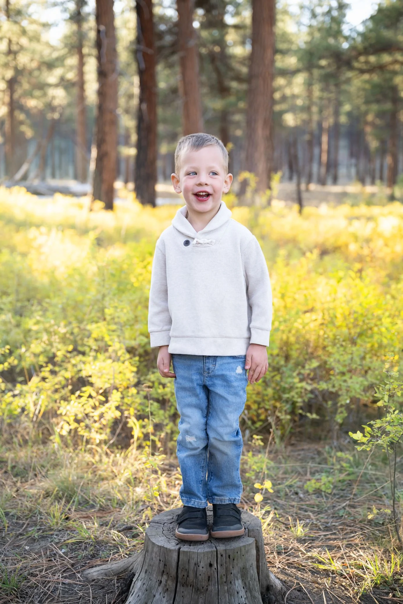 Ascent Roofing Final Photos-45.jpg