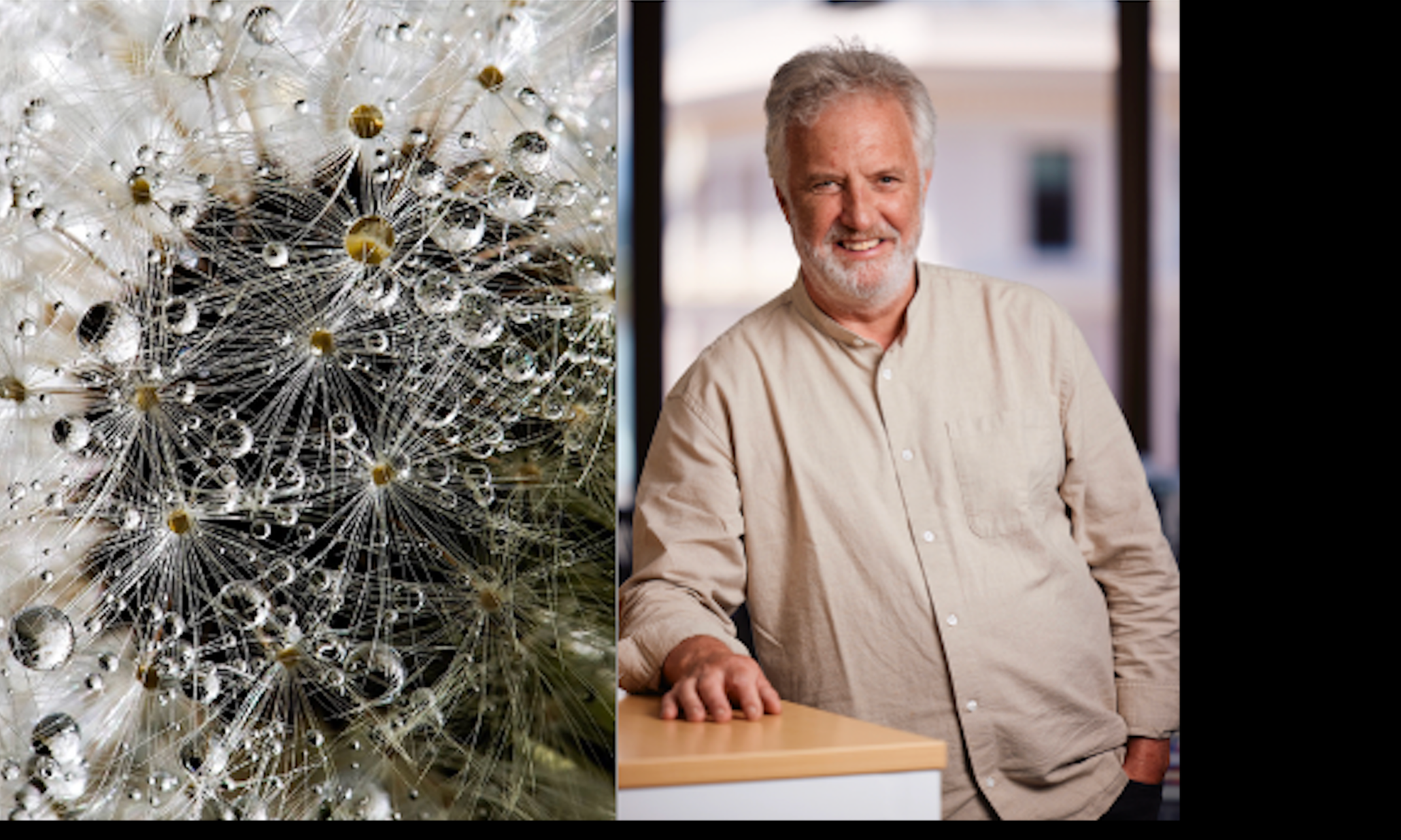 Creativity a casualty of climbing the ladder?