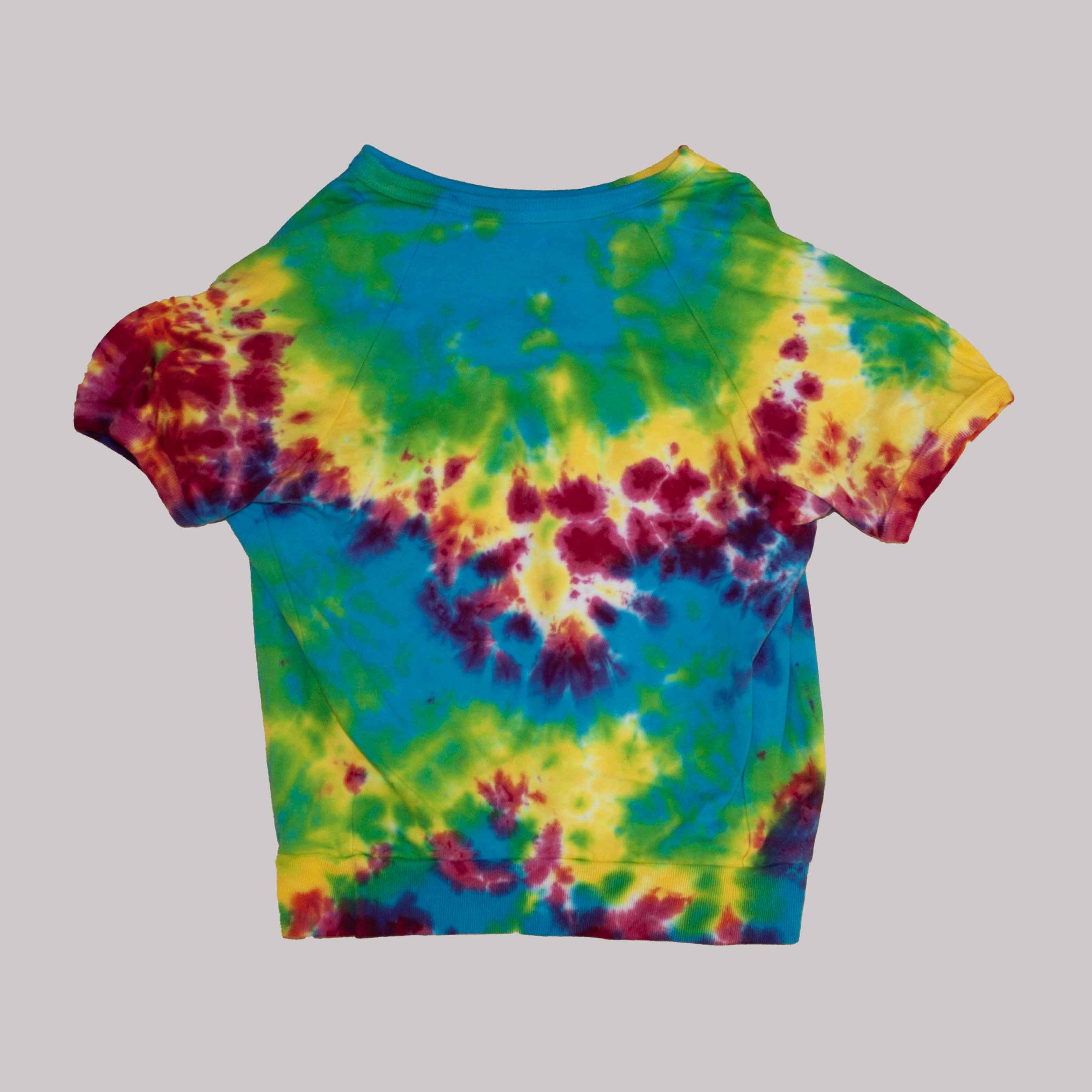 Dog Shirt XL BTM.jpg
