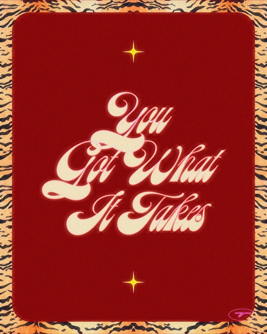  Illustration rétro avec fond bordeau et bordure motif tigré, texte disco "You Got What It Takes" au centre avec deux étoiles jaunes. 