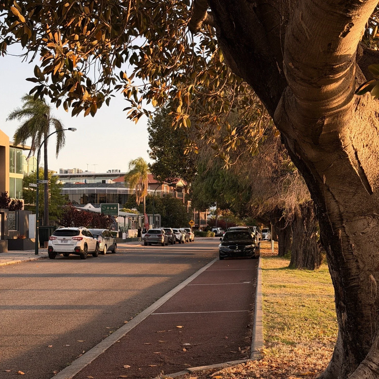 【More Than Just a Meal🥰】
We love our regular customers and we&rsquo;d love to create more memories with YOU.
​
Anna, who immigrated to Perth over thirty years ago, shared with us that it is our Steamed Ginger &amp; Shallot Chicken that brings her th