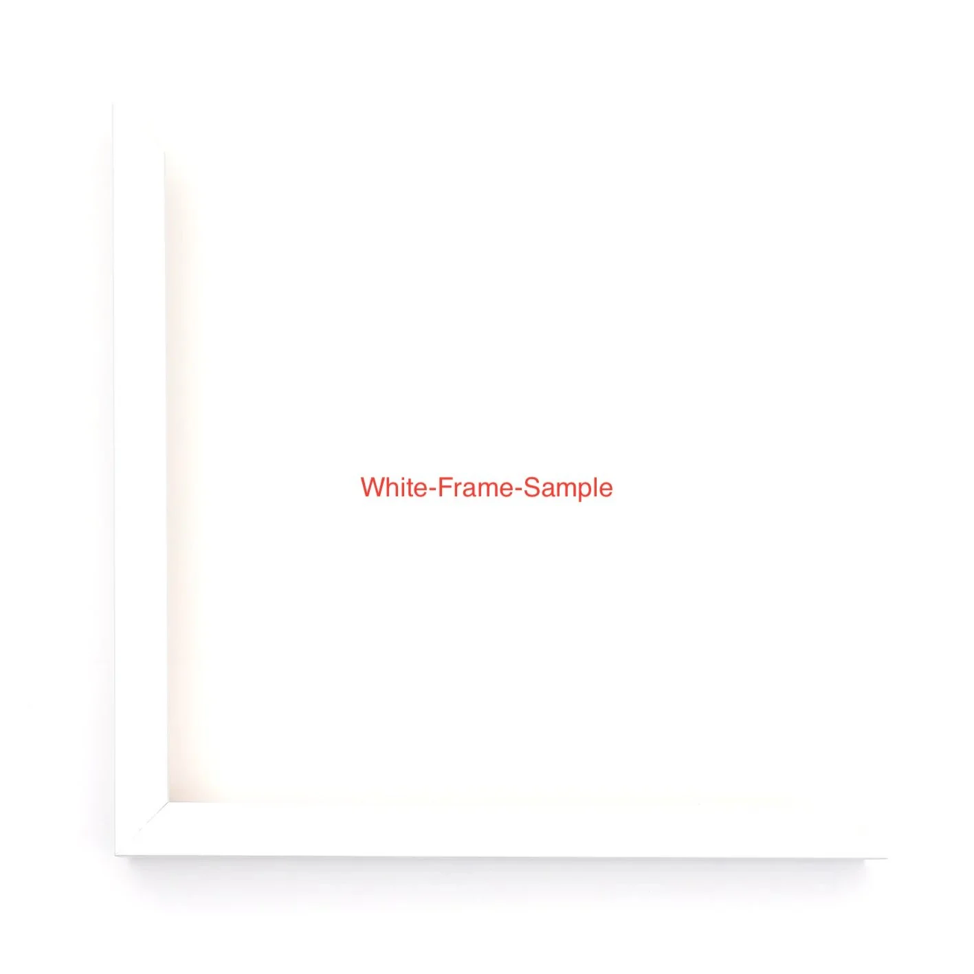 ART OF M-White-Frame-Sample.jpg