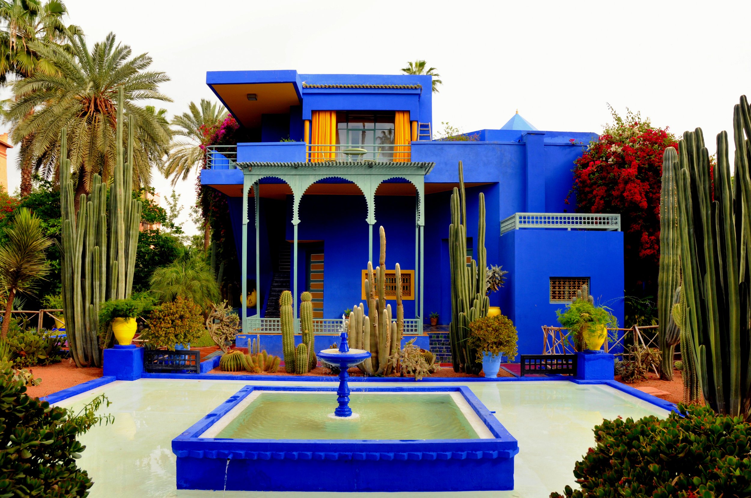 A Garden of Expression: Jardin Majorelle, Marrakech, Morocco 