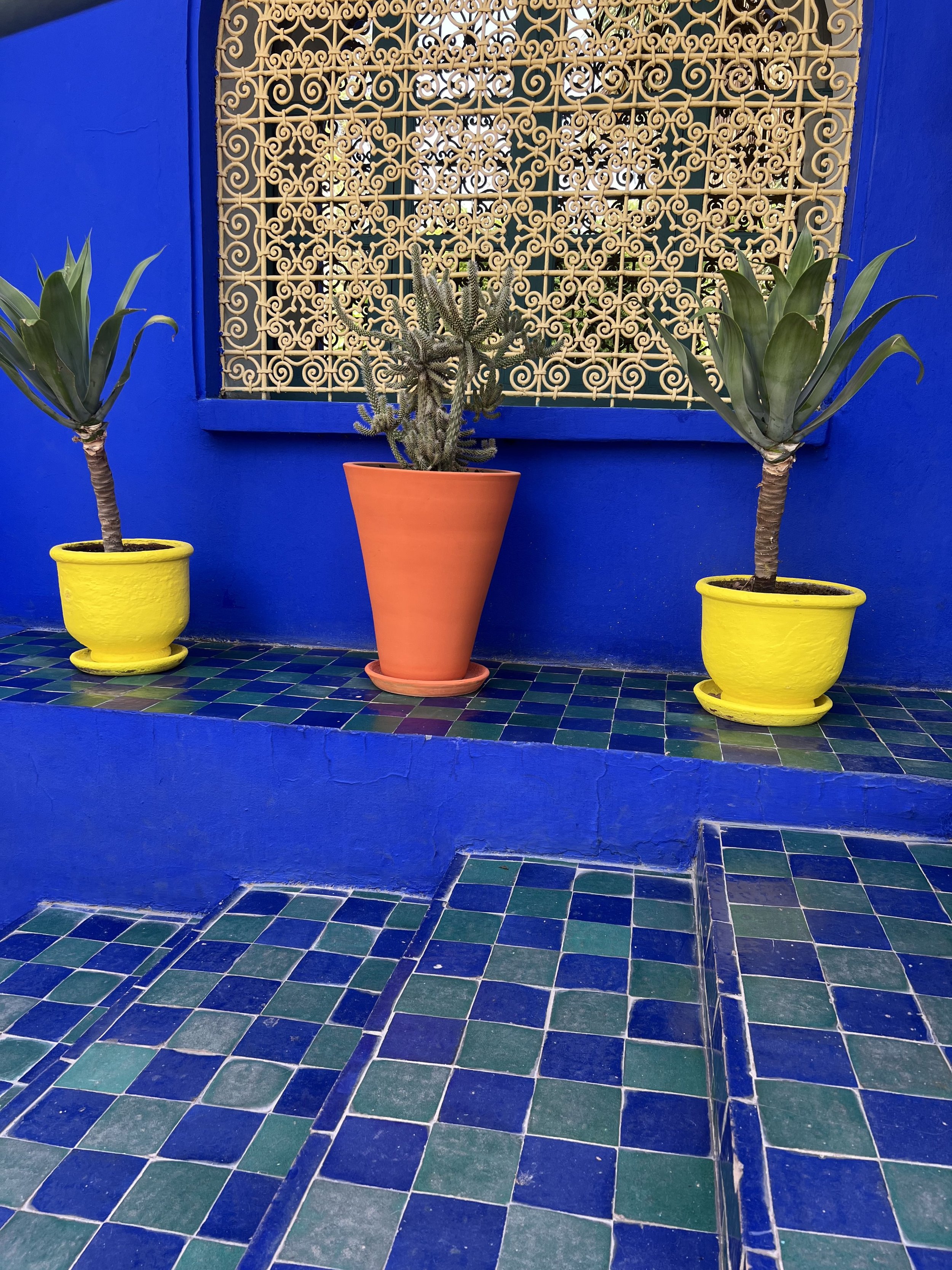 majorelle-marrakeche.jpg