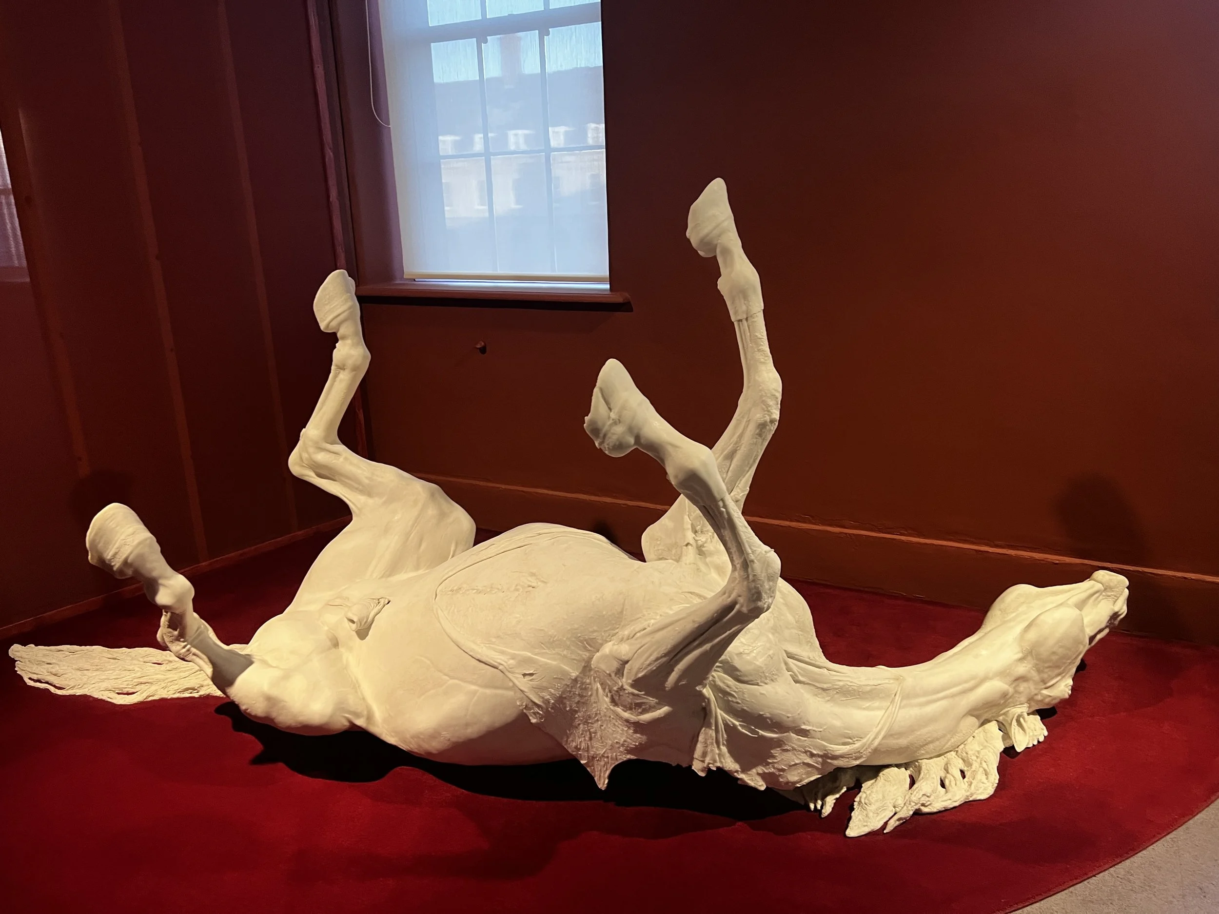 Stallion by Daphne Wright 2009 at IMMA Dublin