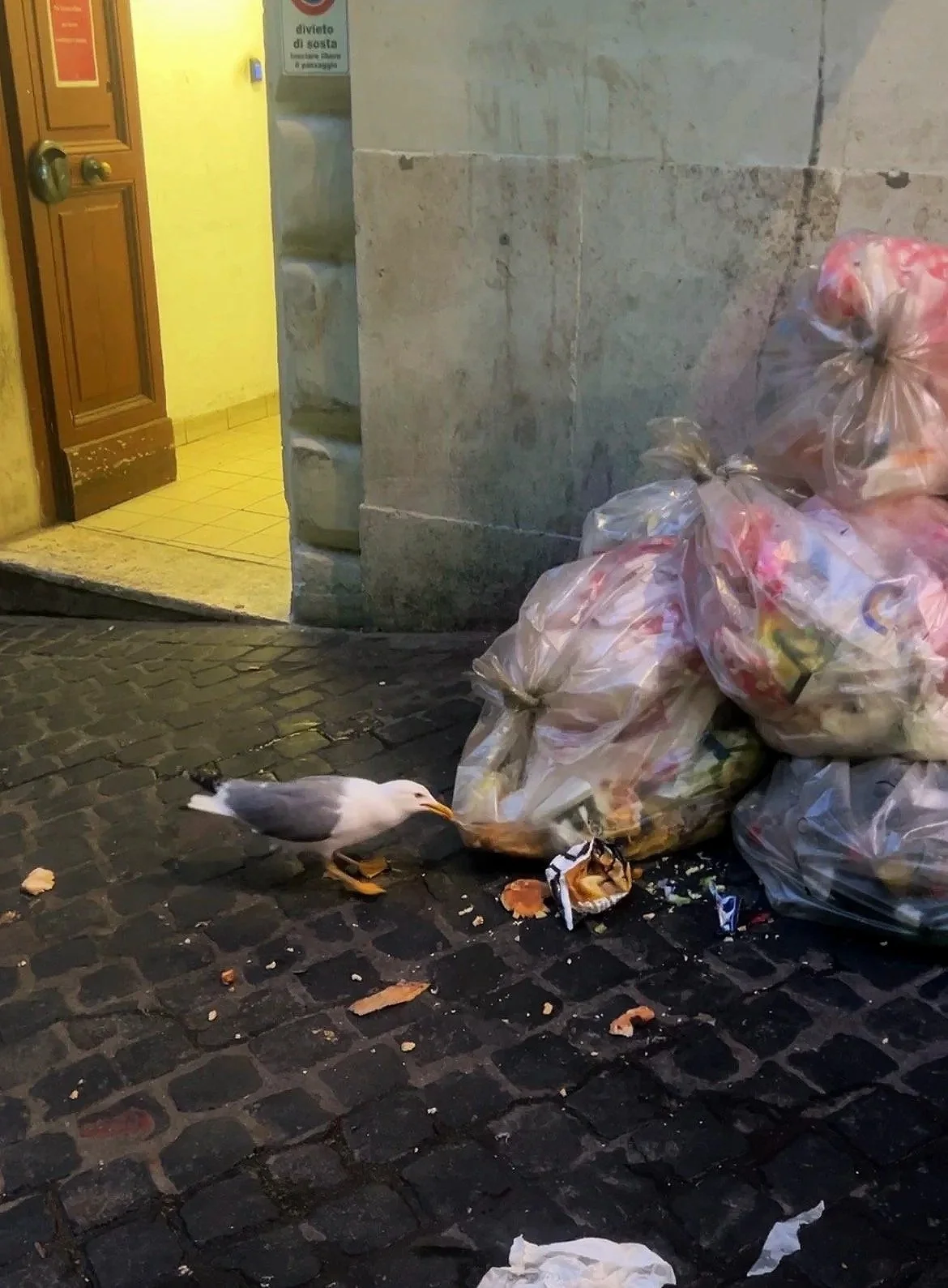 rubbish in rome