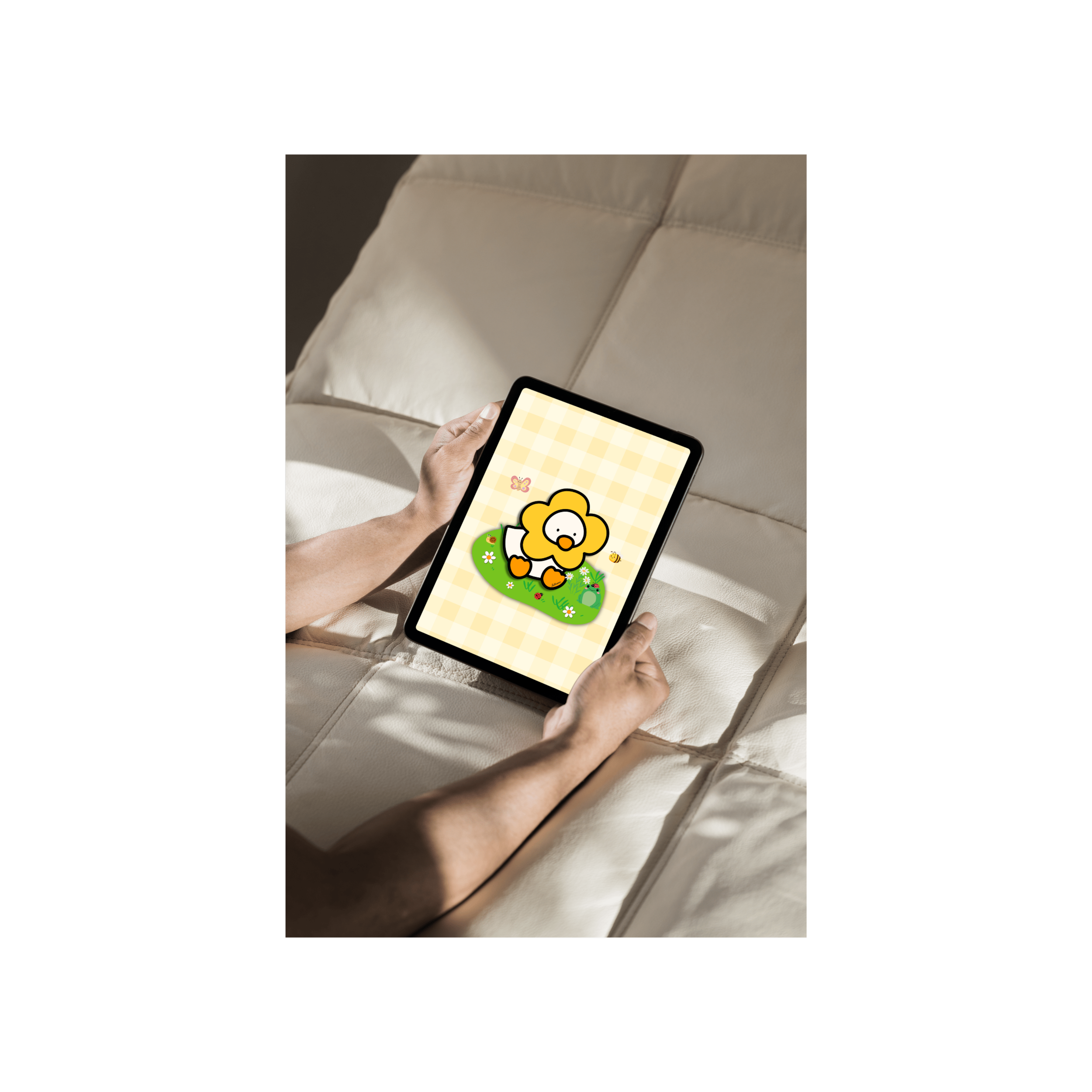 5.png