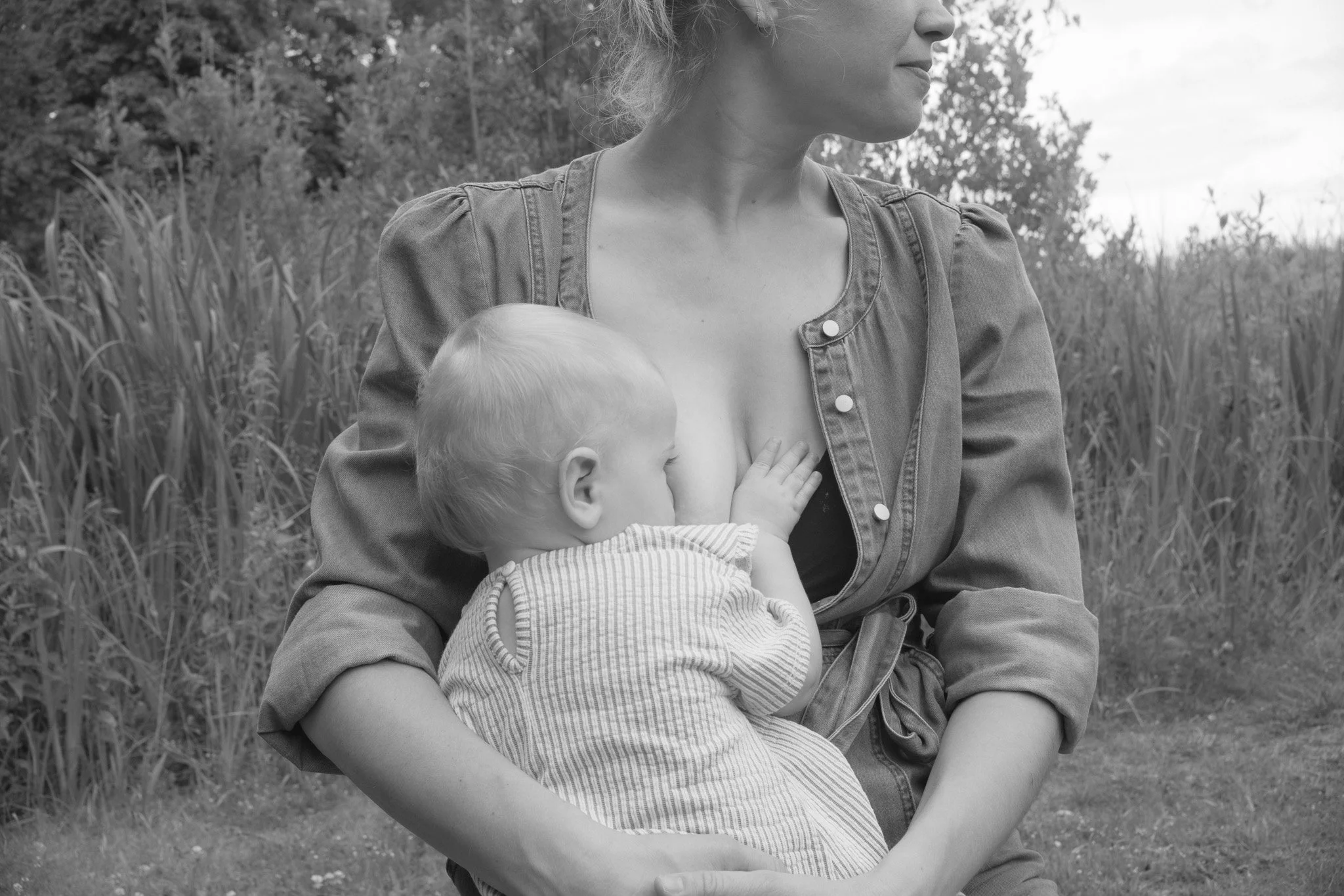 DSCF6553.jpg