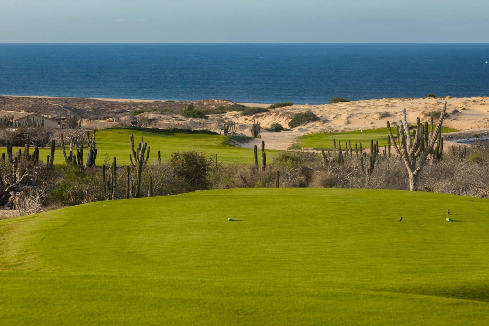 Sphinx Travel Solmar Golf Links7.jpeg