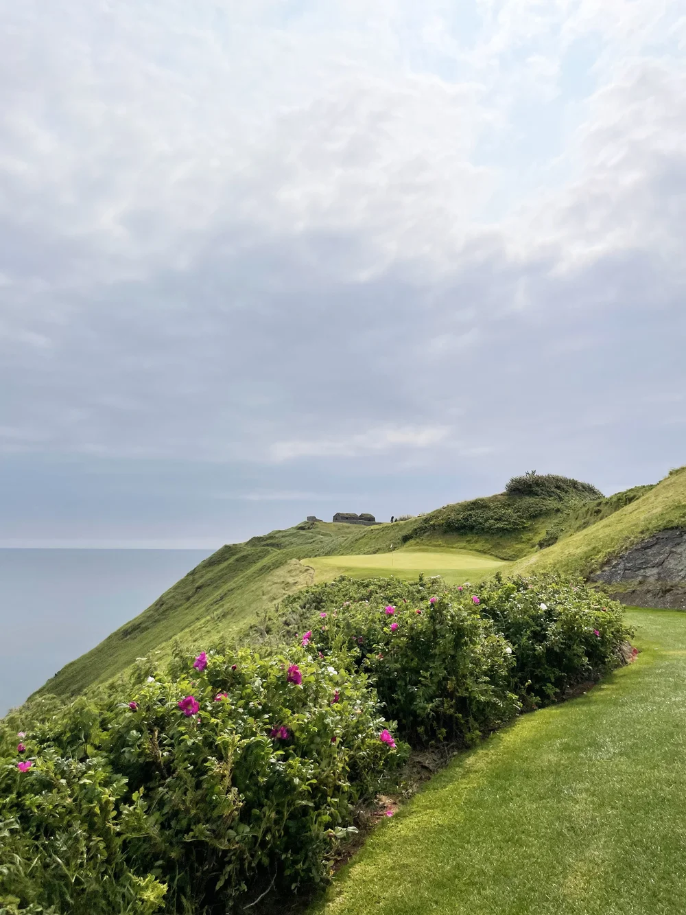 Sphinx Travel Old Head.jpeg