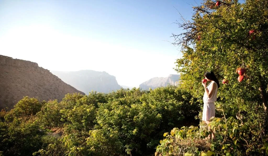 Anantara Al Jabal Al Akhdar Resort7.jpg
