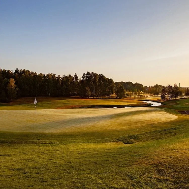 Sarfvik Golf Club