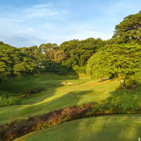 Mimosa Plus Golf Course