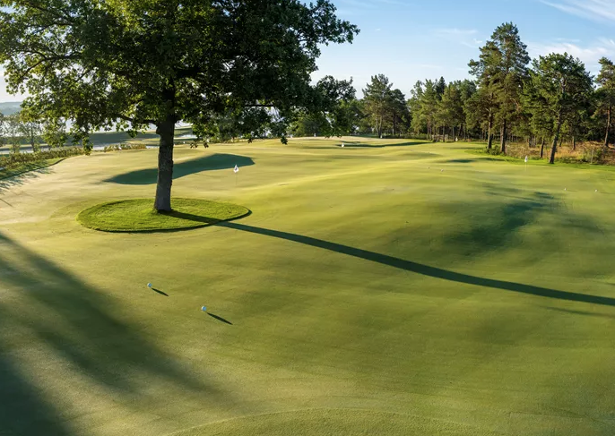 Sphinx Travel Bro Hof Slott Golf Club2.png