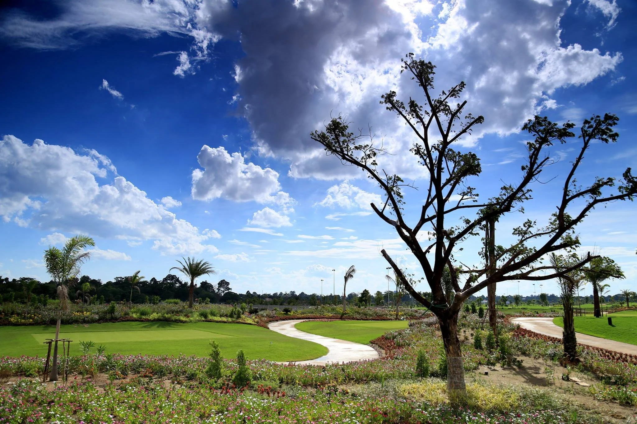 Lakeview Vientiane Golf Club1.jpg