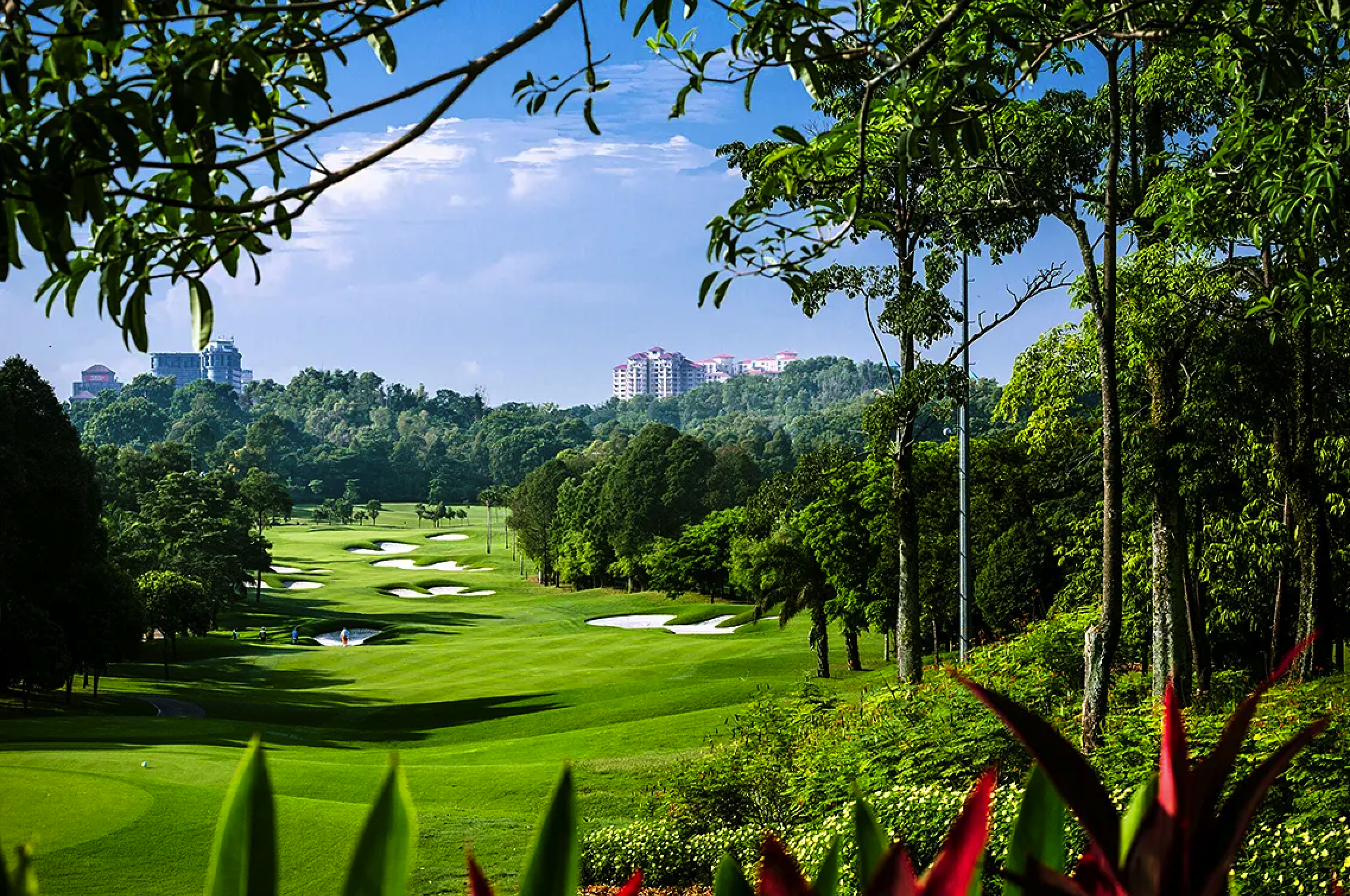 TPC Kuala Lumpur4.png