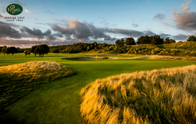 Rya Golf Club2.png