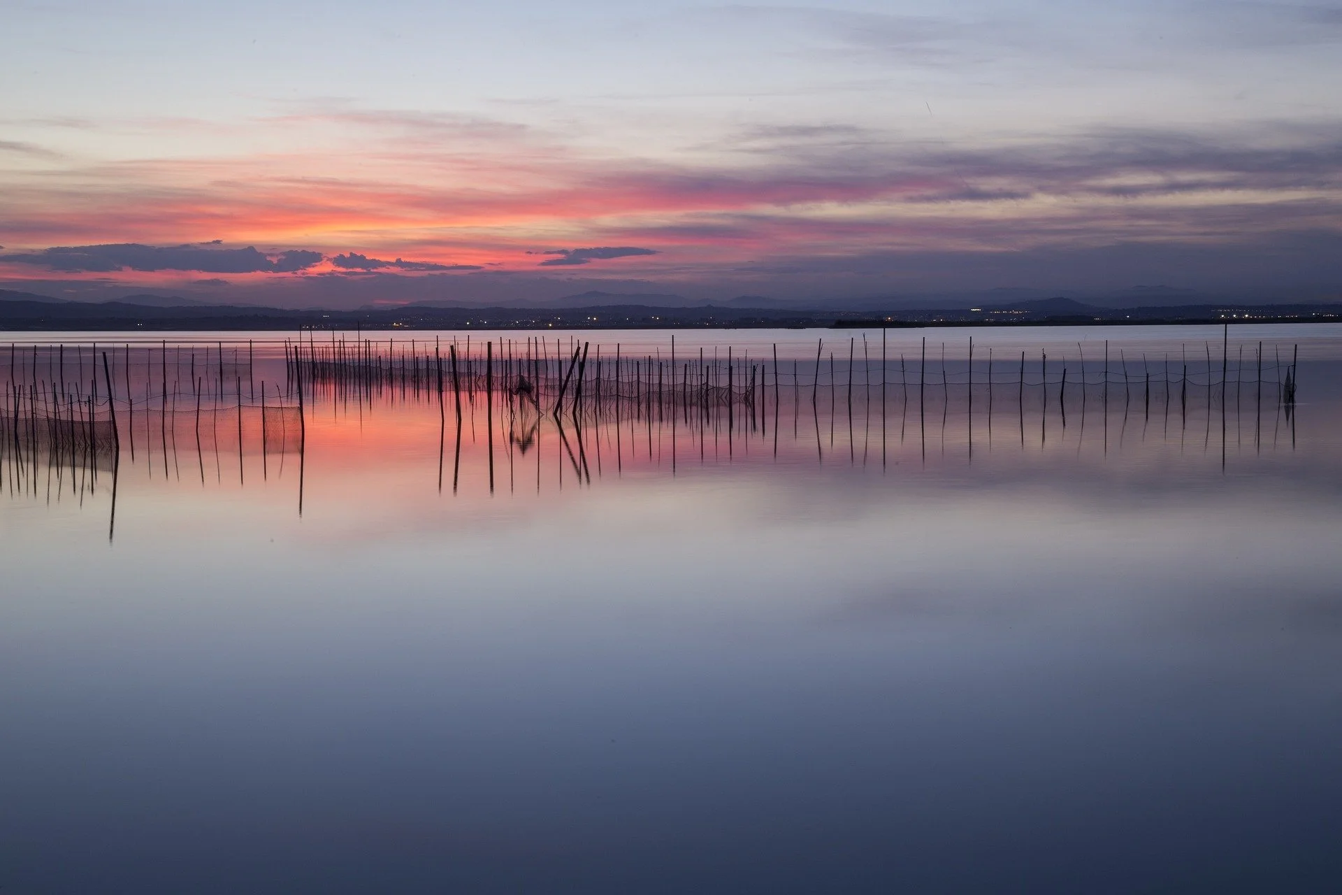 Valencia L'Albufera