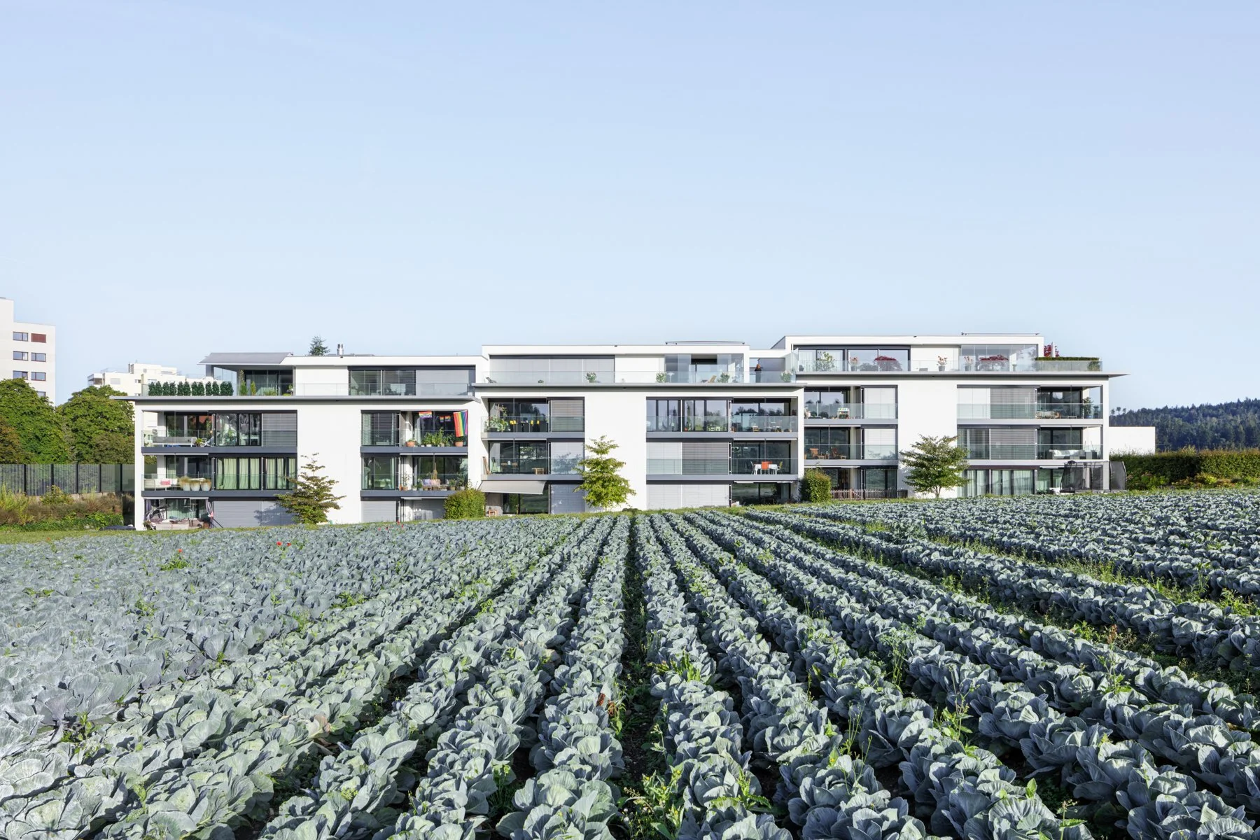 21-151 - Peter Hotz Architekten - Aussenaufnahmen Wohnüberbauung Unterhub Zollikerberg--1.jpg