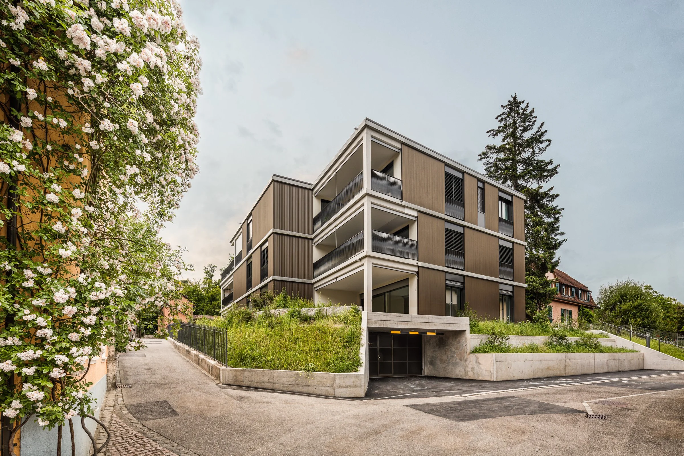 19-101.1 - Meyer Stegemann Architketen - MFH Zimmerweg Schaffhausen--3.jpg