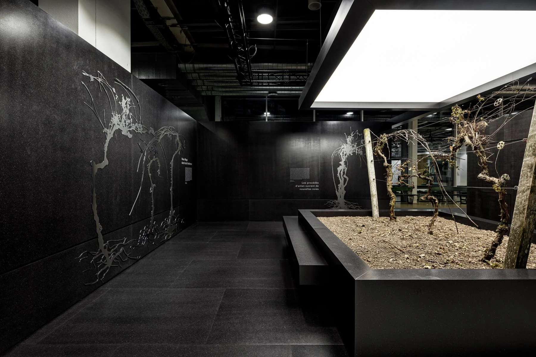 20-101 - MCH Global_Expomobilia - Swissbau 2020-BSH Gaggenau-3.jpg