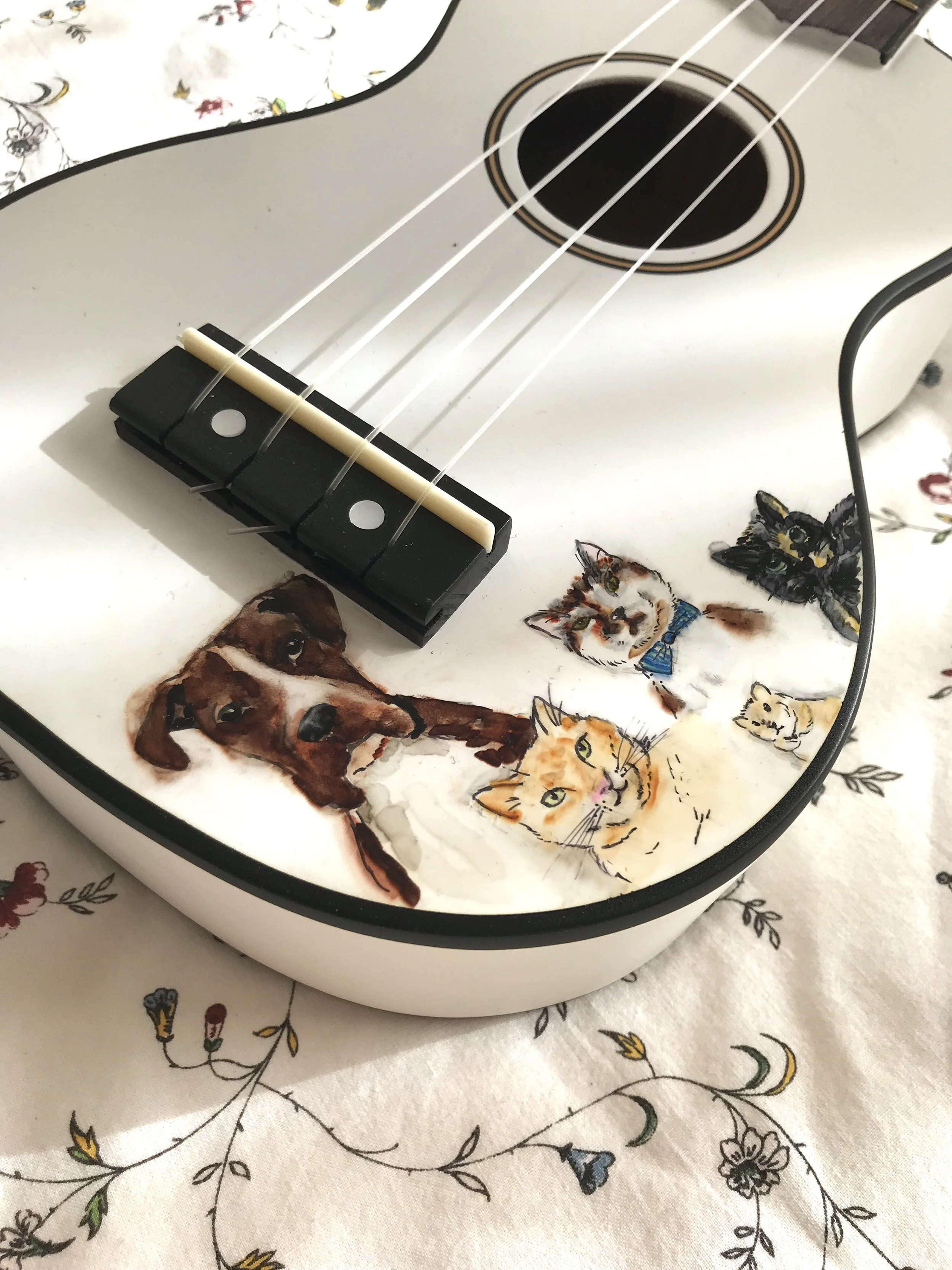og pet portrait uke.JPG
