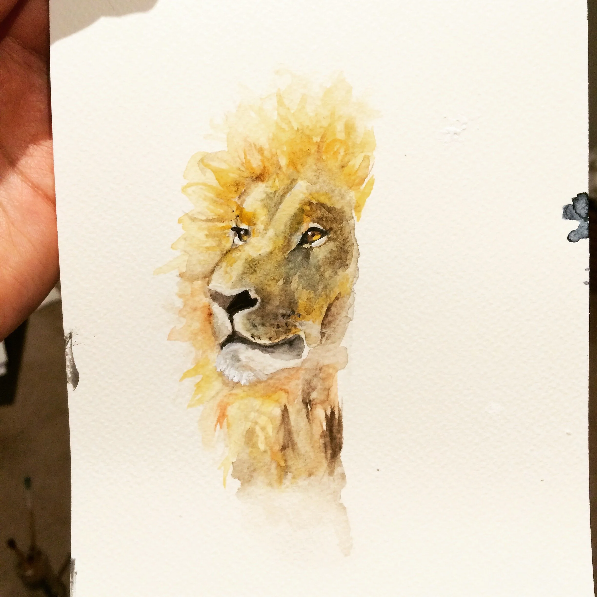 Tamanna Kaul Watercolour Lion.JPG