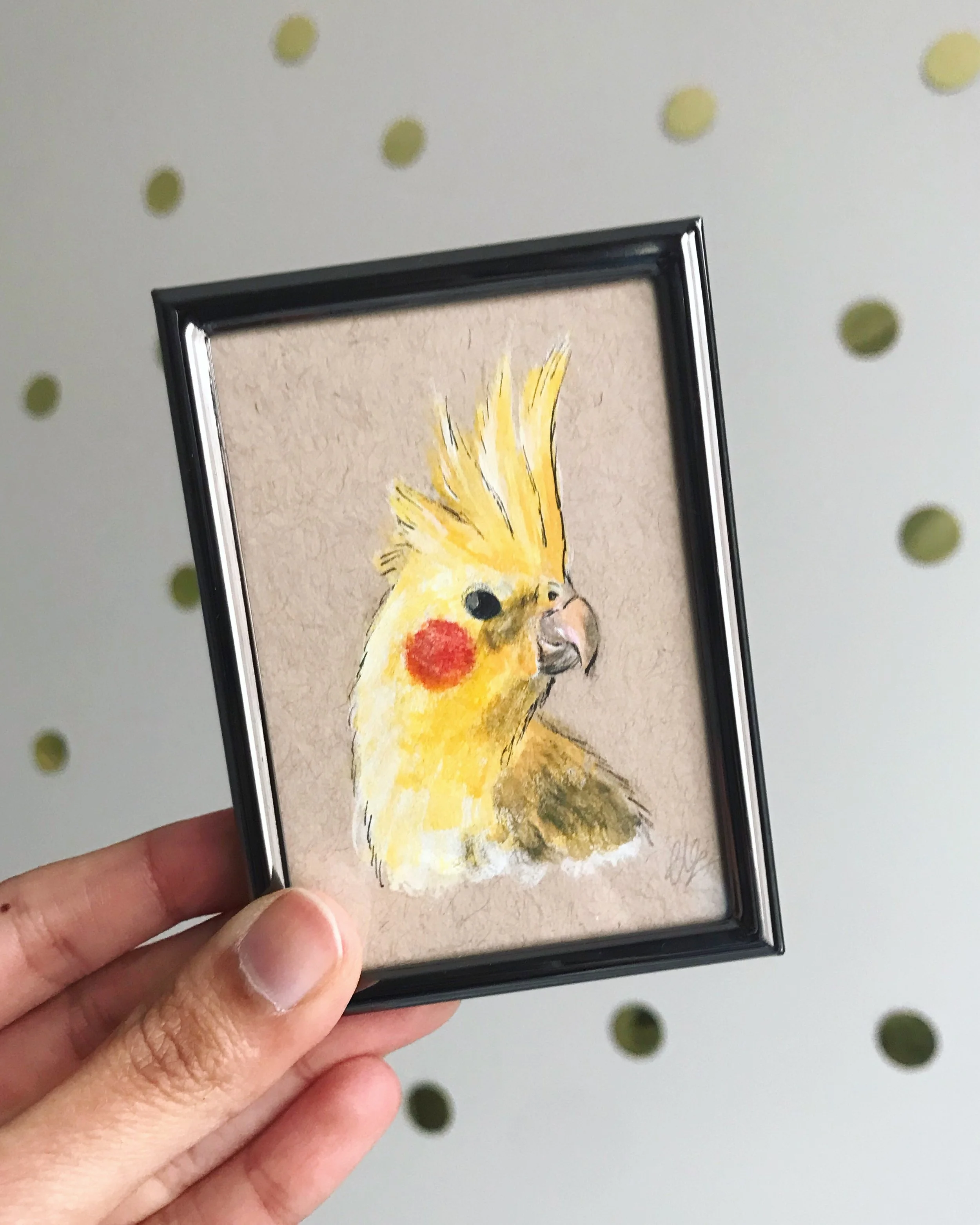 cockatiel portrait.JPG