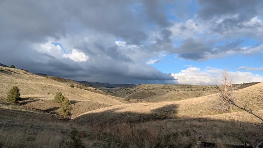 John Day National Monument in March - Clarno Unit. Oregon. Photo by Tamara Staton.