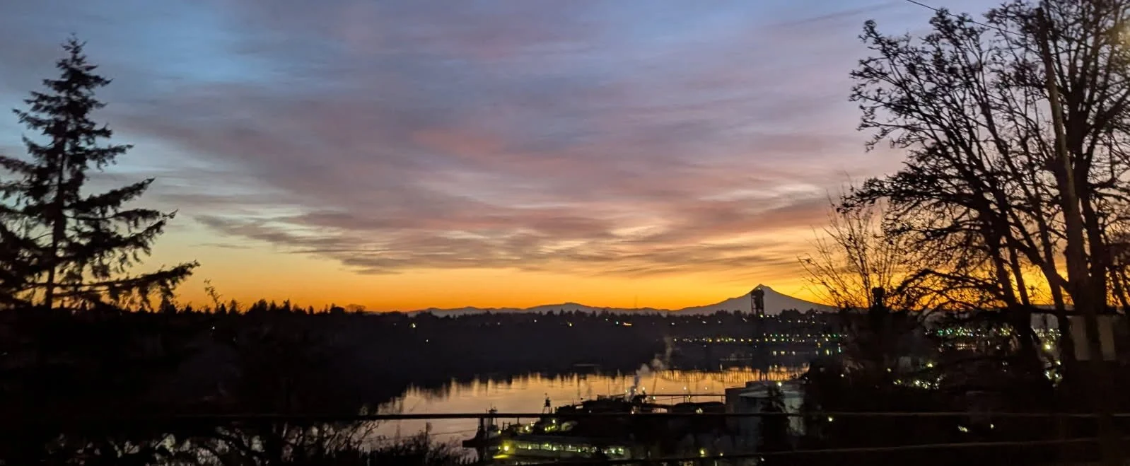sunset sky with silhouetted trees