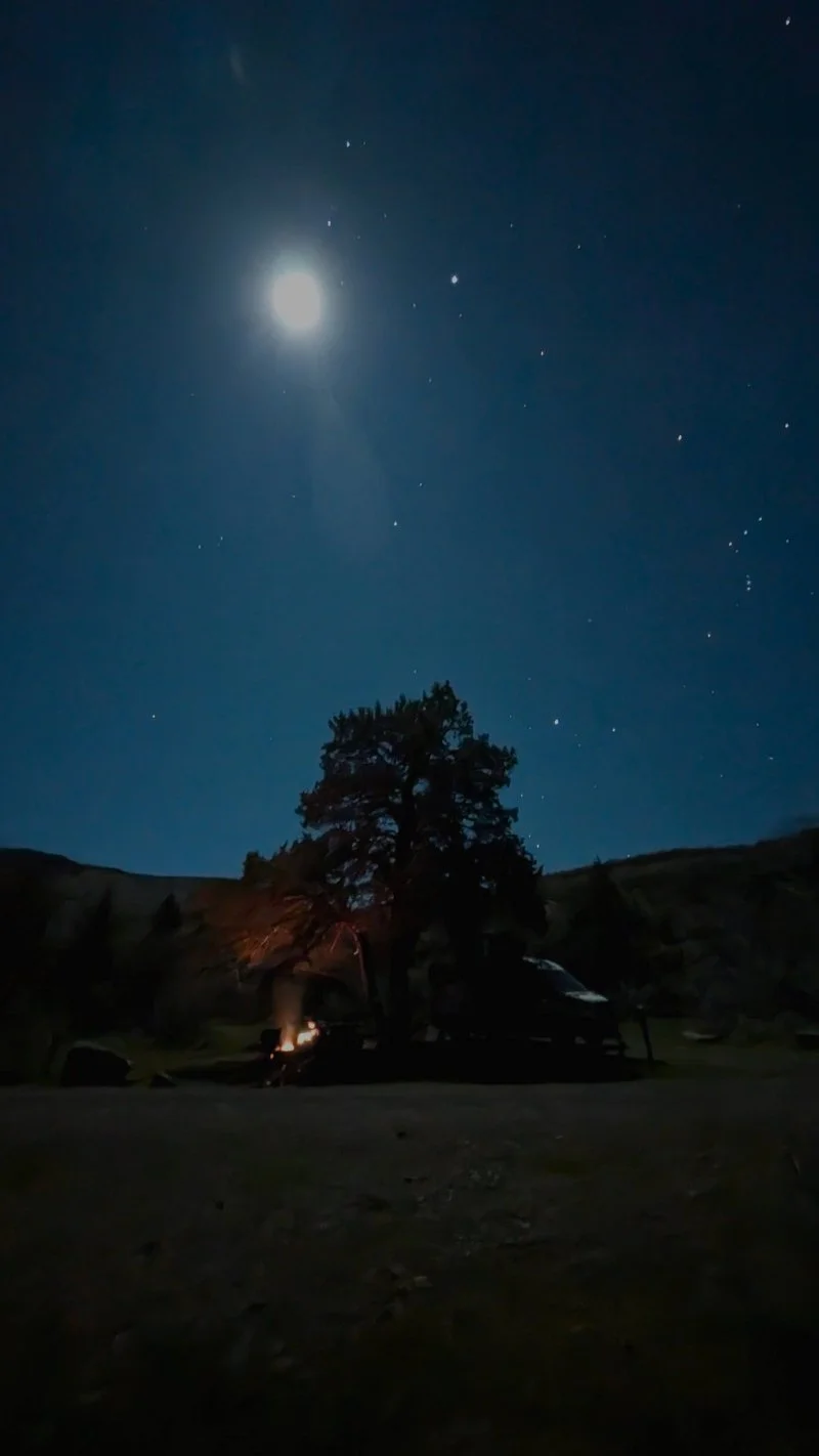 moon reflecting over juniper tree and fire with stars and hills in background